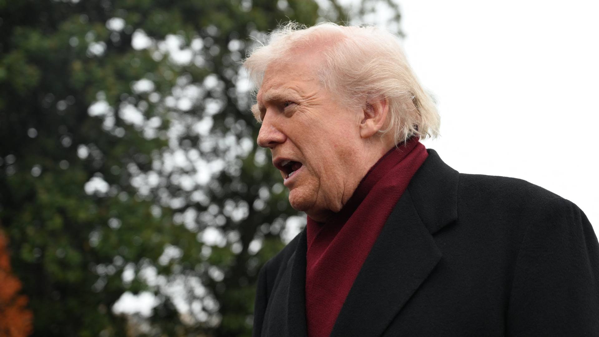 الرئيس الأمريكي دونالد ترمب