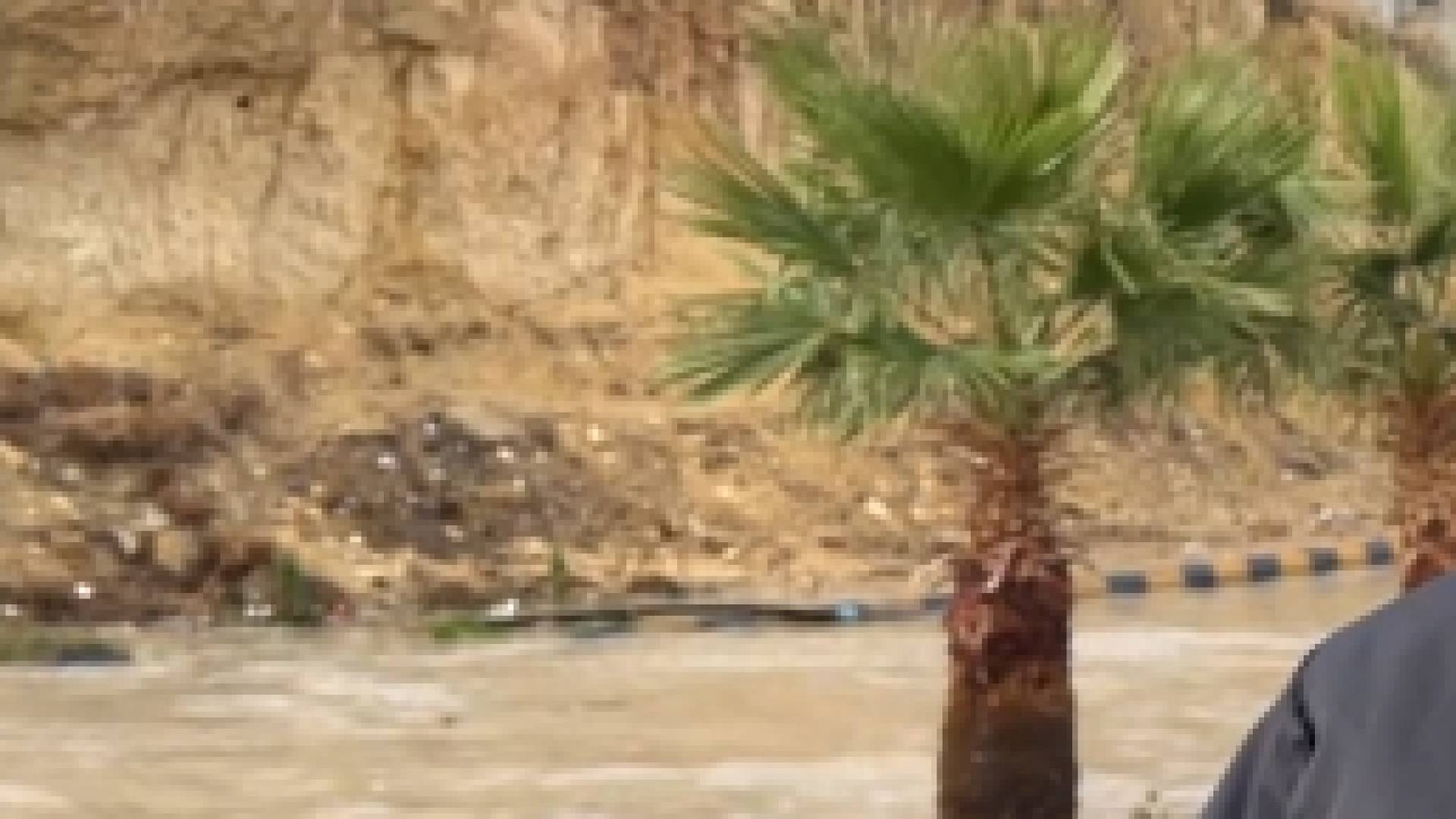 كاميرا "رؤيا" ترصد ارتفاعا كبيرا لمنسوب المياه في طريق "وادي زيد" في الطفيلة