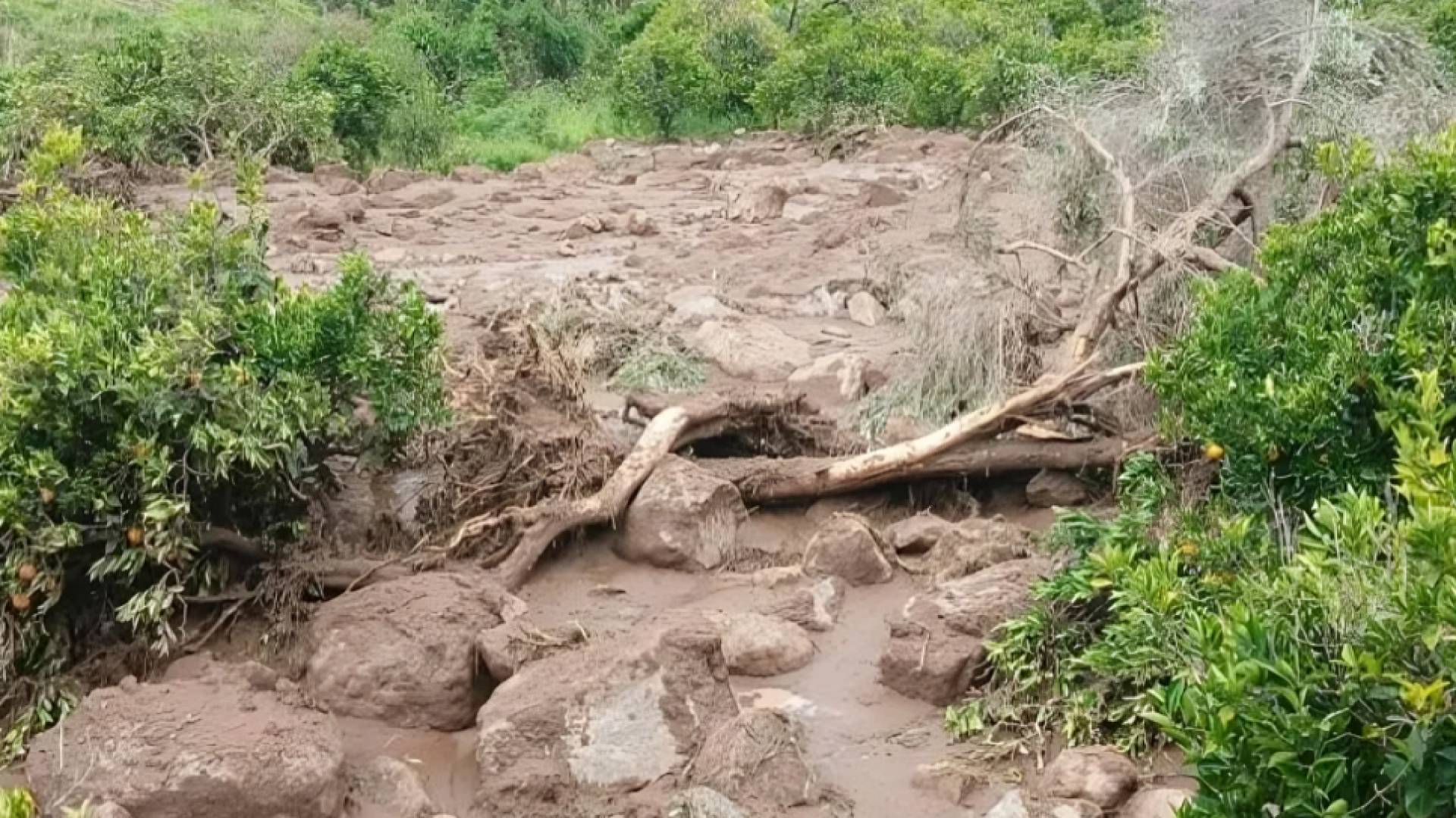 إنزلاق تربة "أرشيفية"