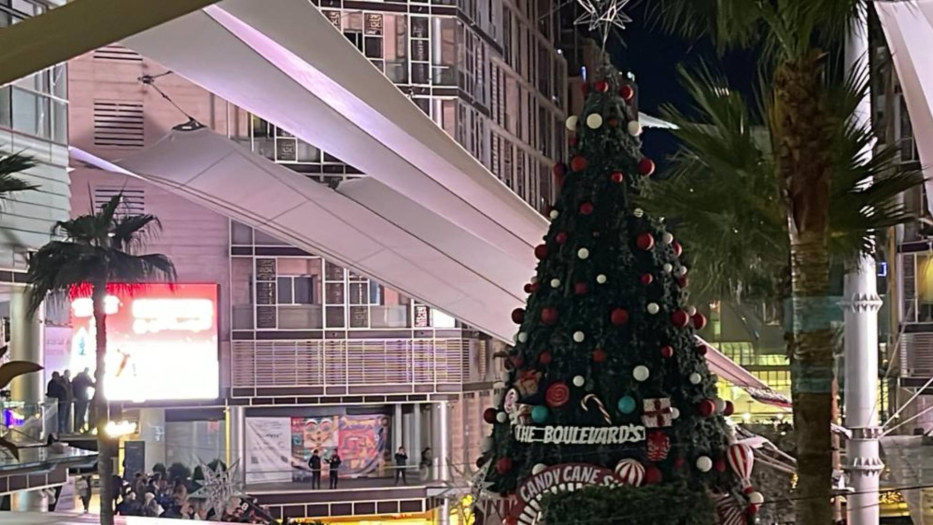 شجرة الميلاد في البوليفارد