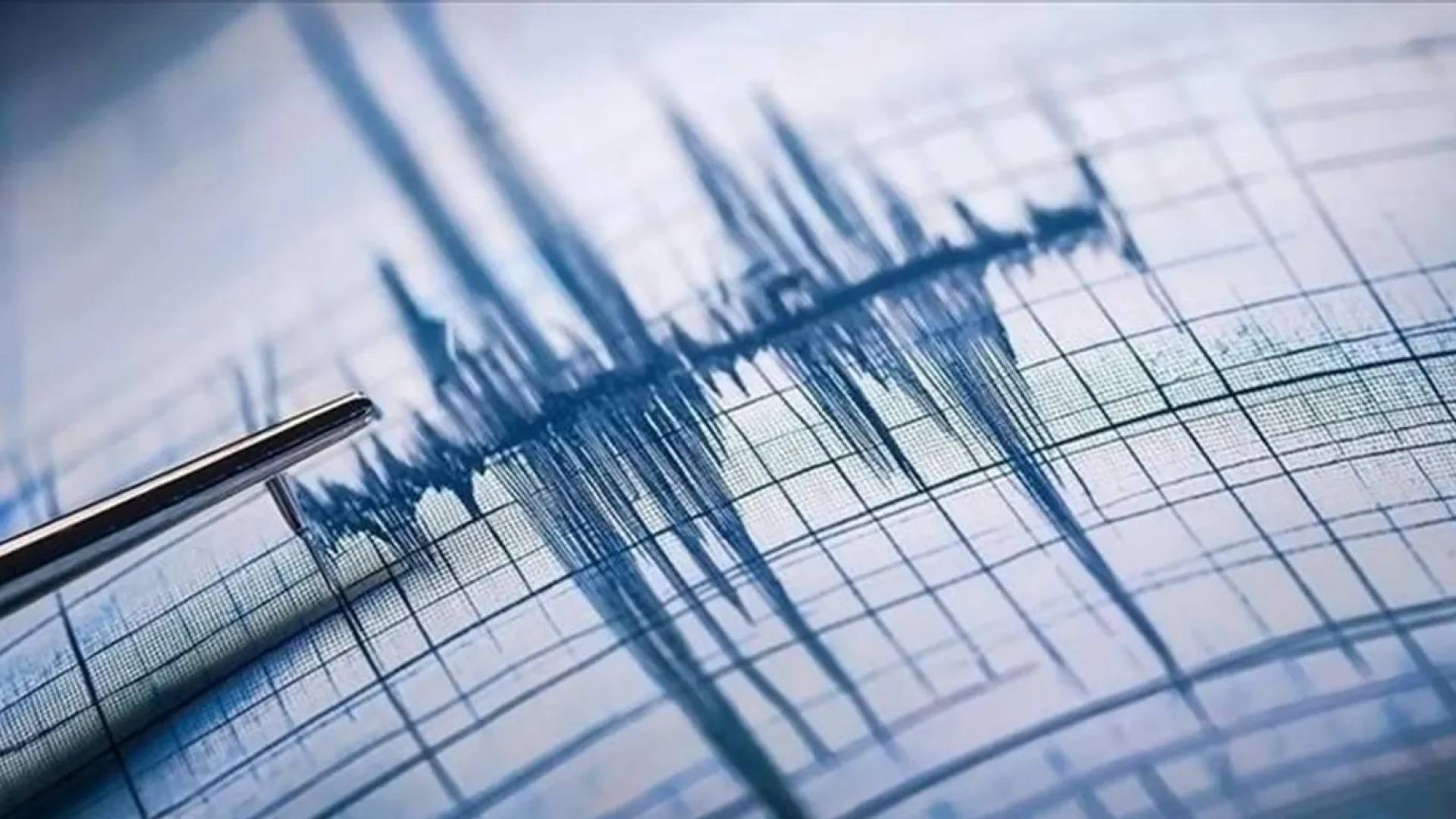 رصد الزلالزل