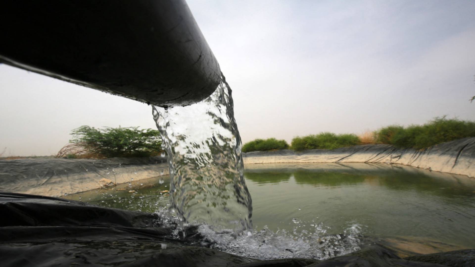 المياة