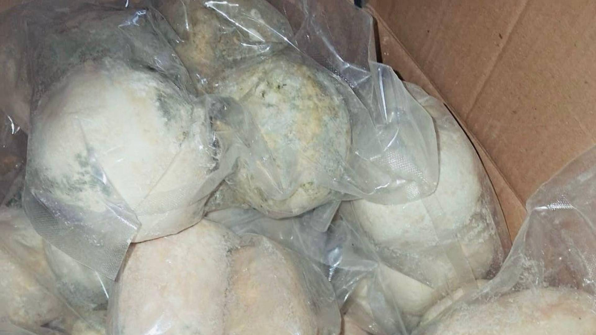 "الغذاء والدواء" تغلق مستودع جميد غير مرخص وتحجز 25 طنا