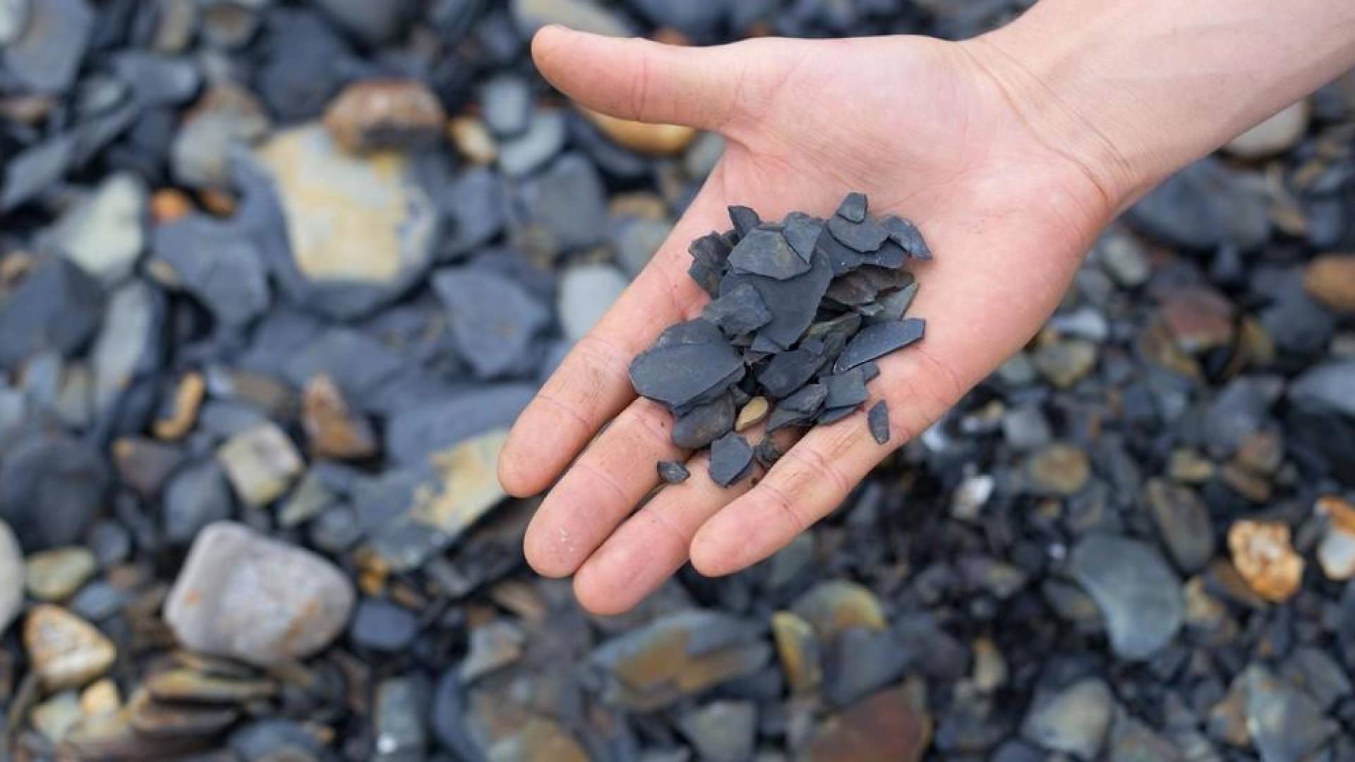 الصخر الزيتي