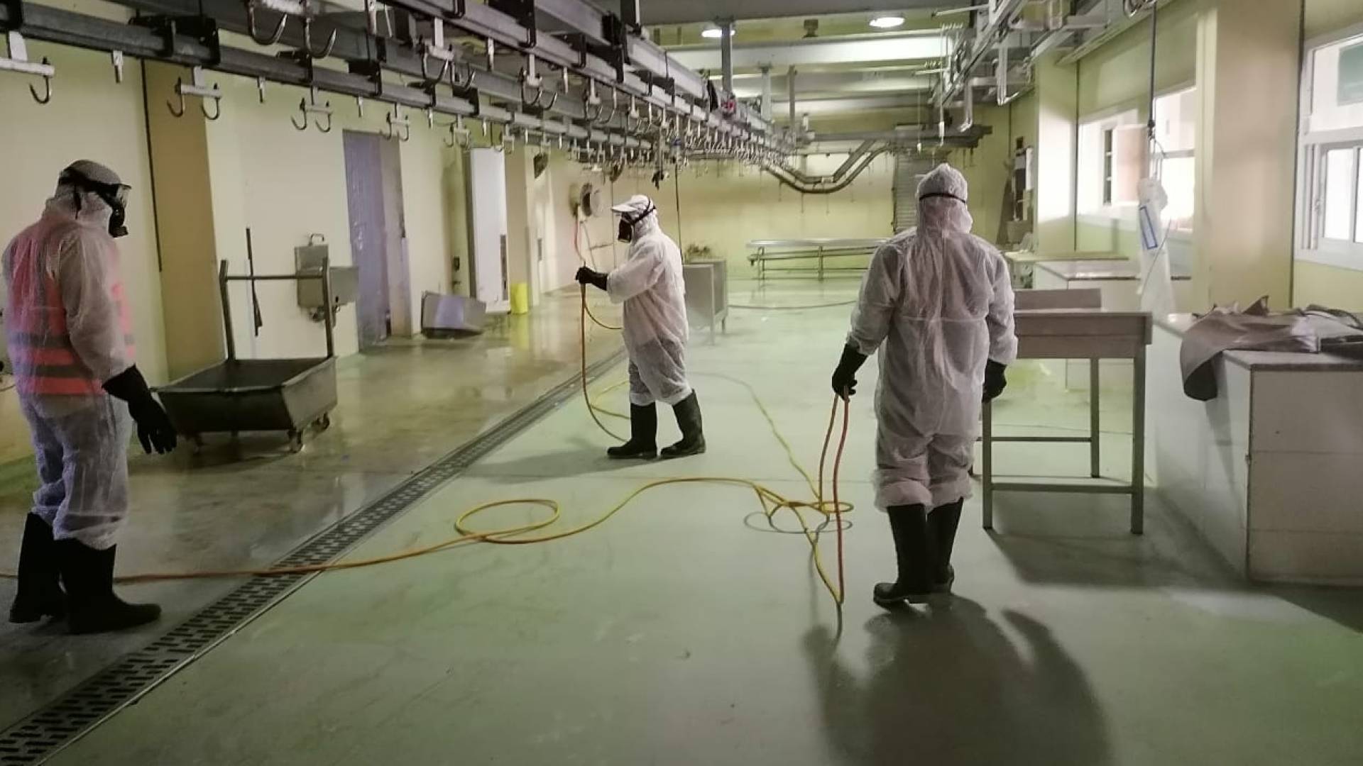 صورة لمسلخ .. توضيحية