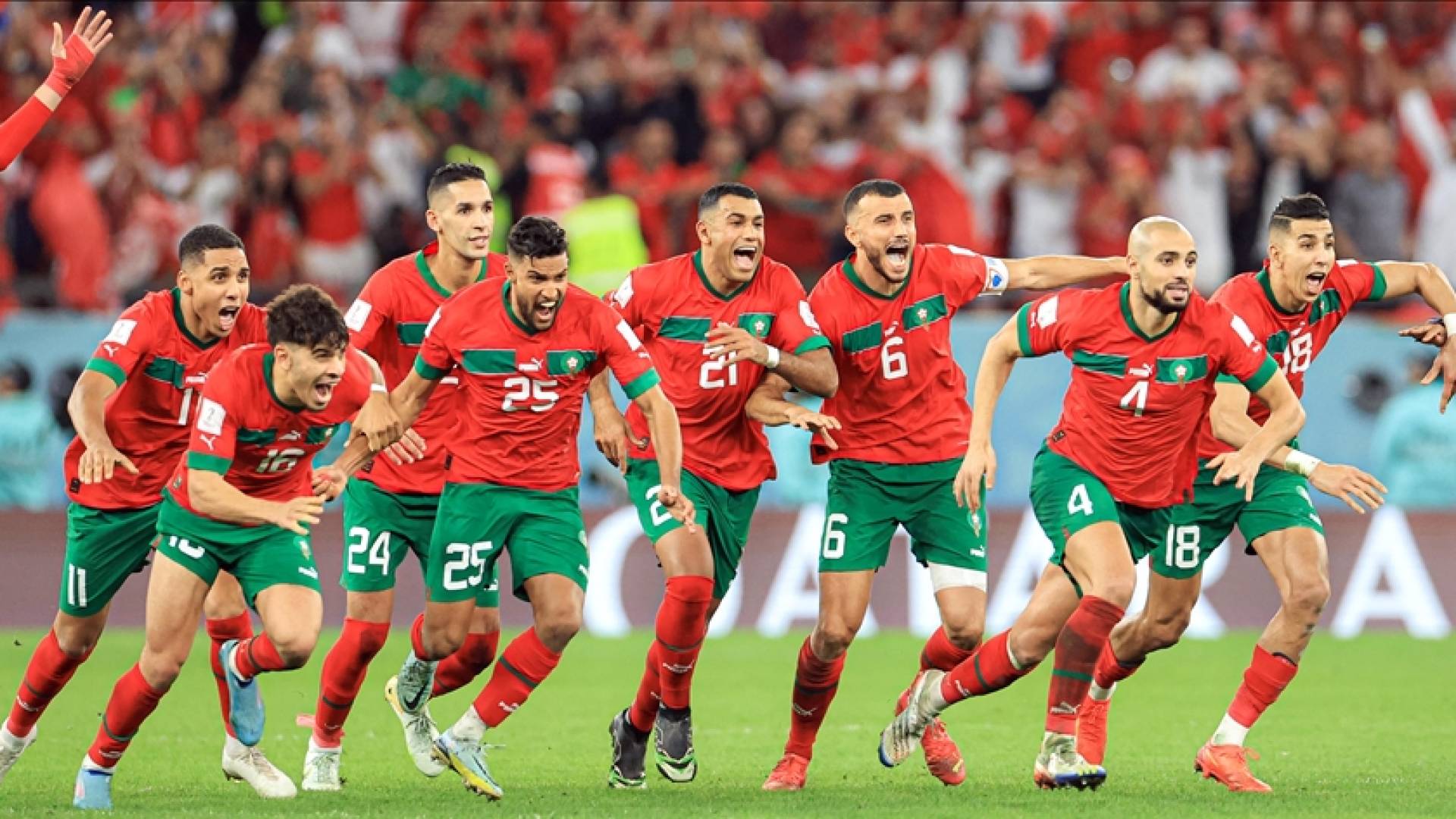 "أسود الأطلس"