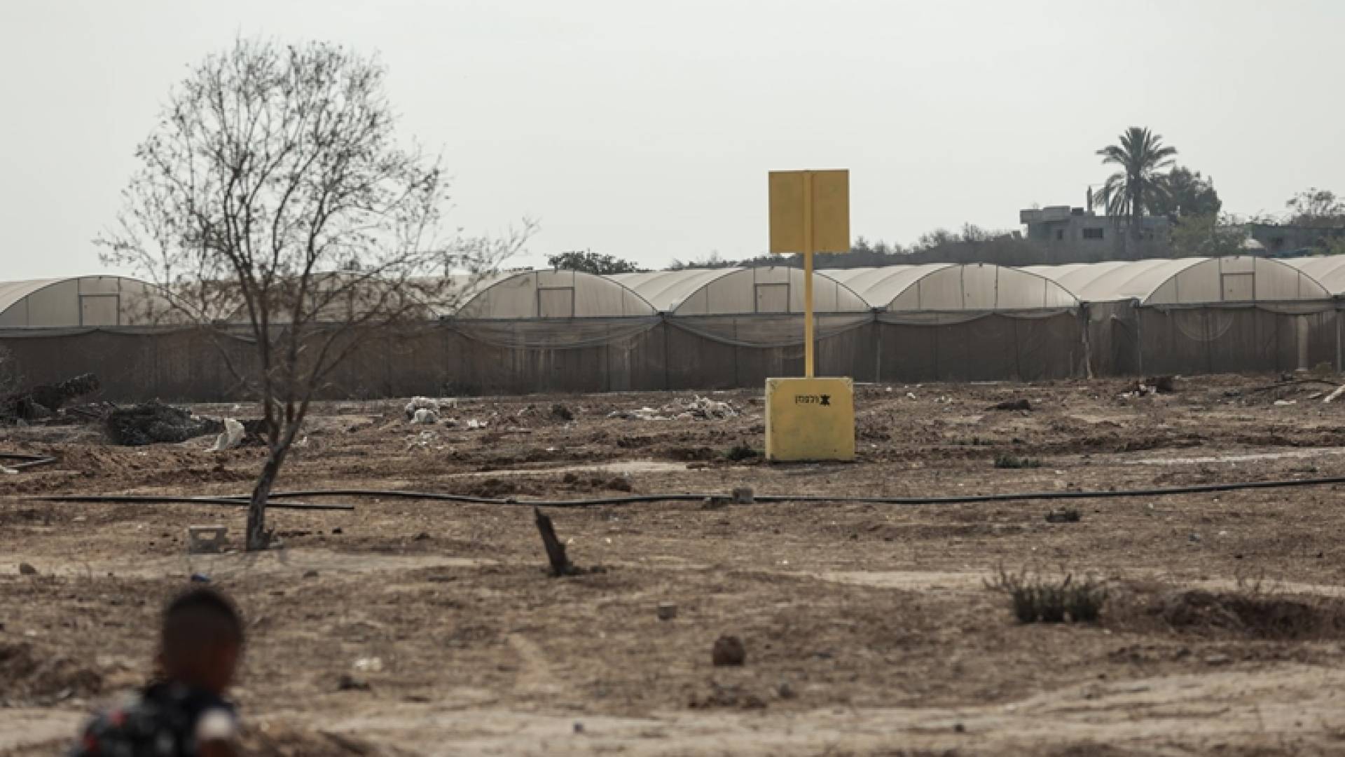 الخط الأصفر