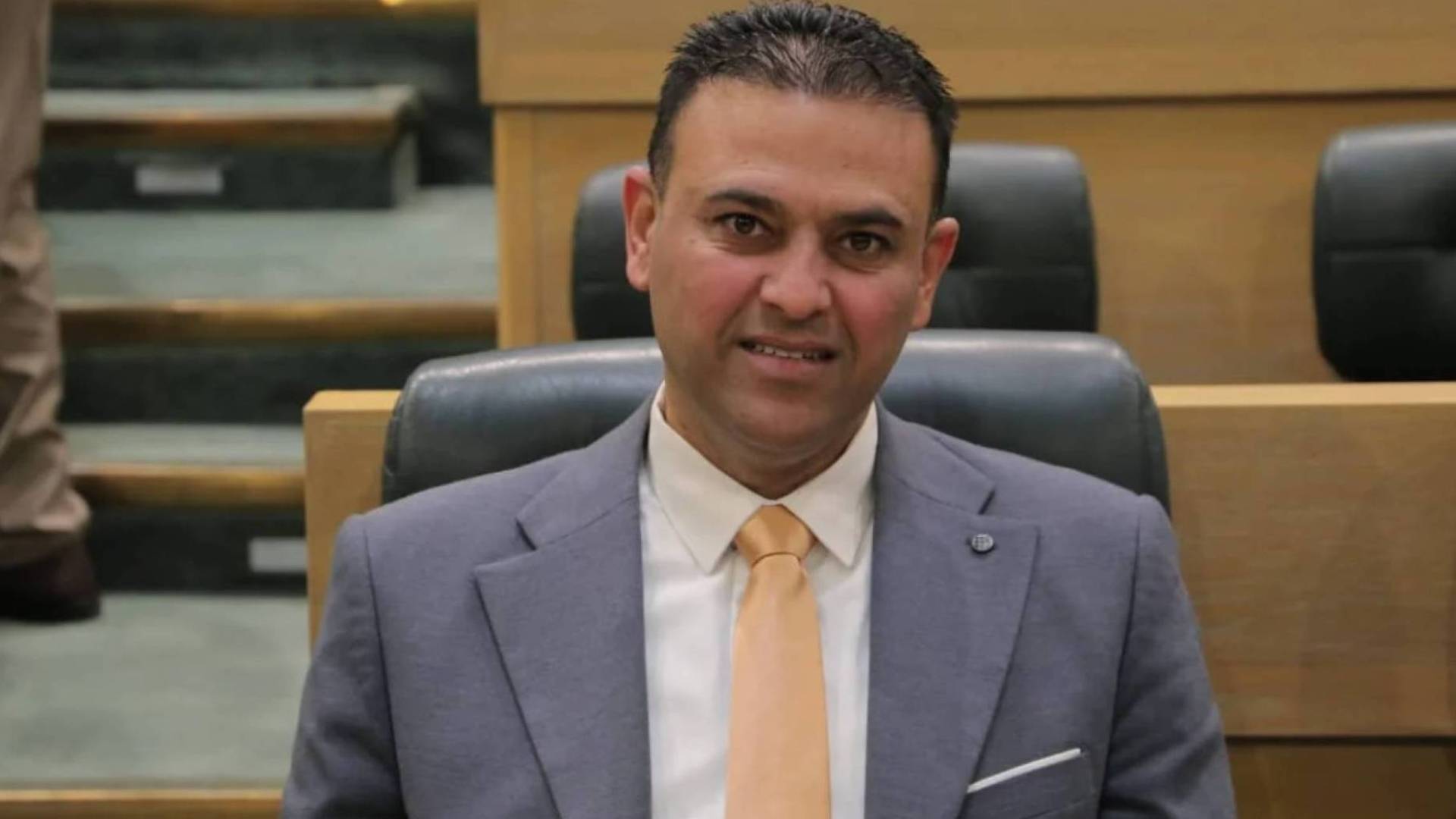 النائب وليد المصري