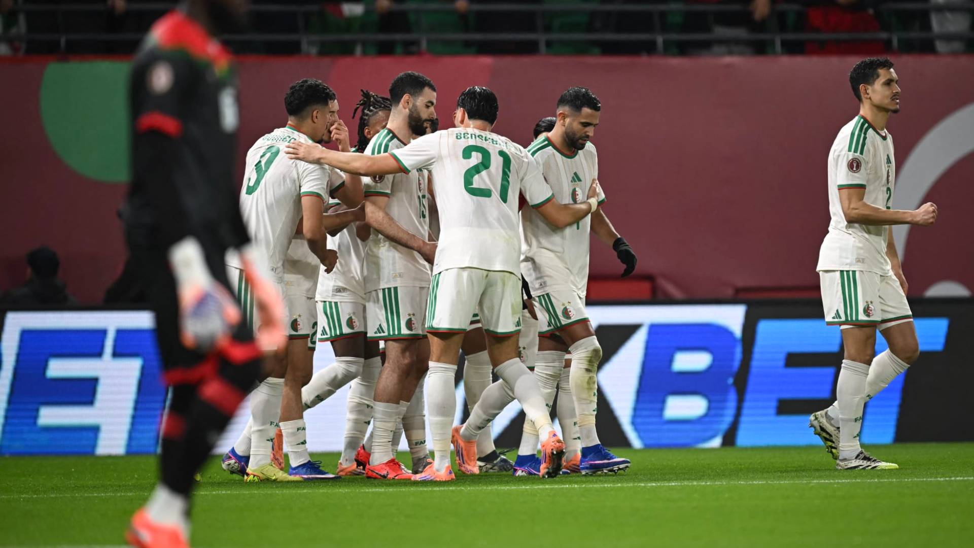 المنتخب الجزائري