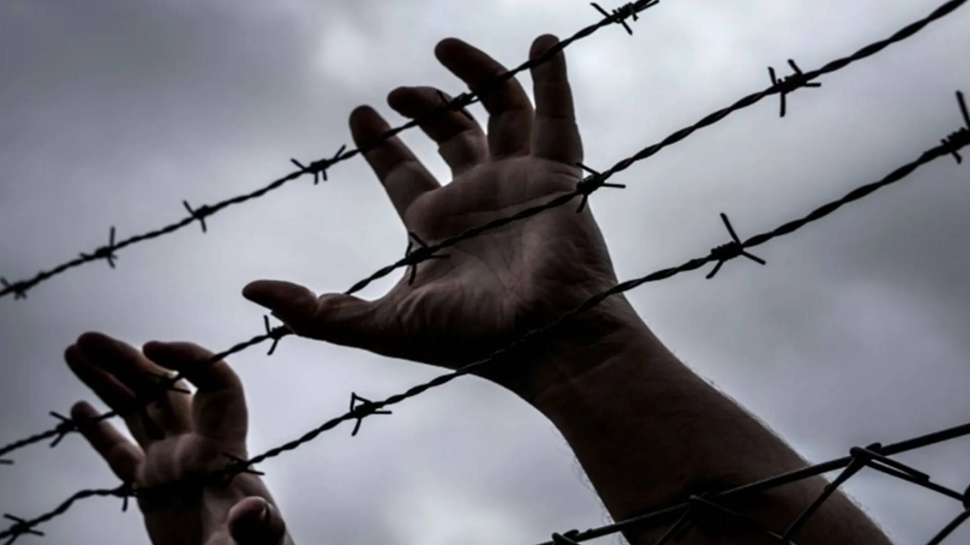 شخص يضع يده على سياج سحن