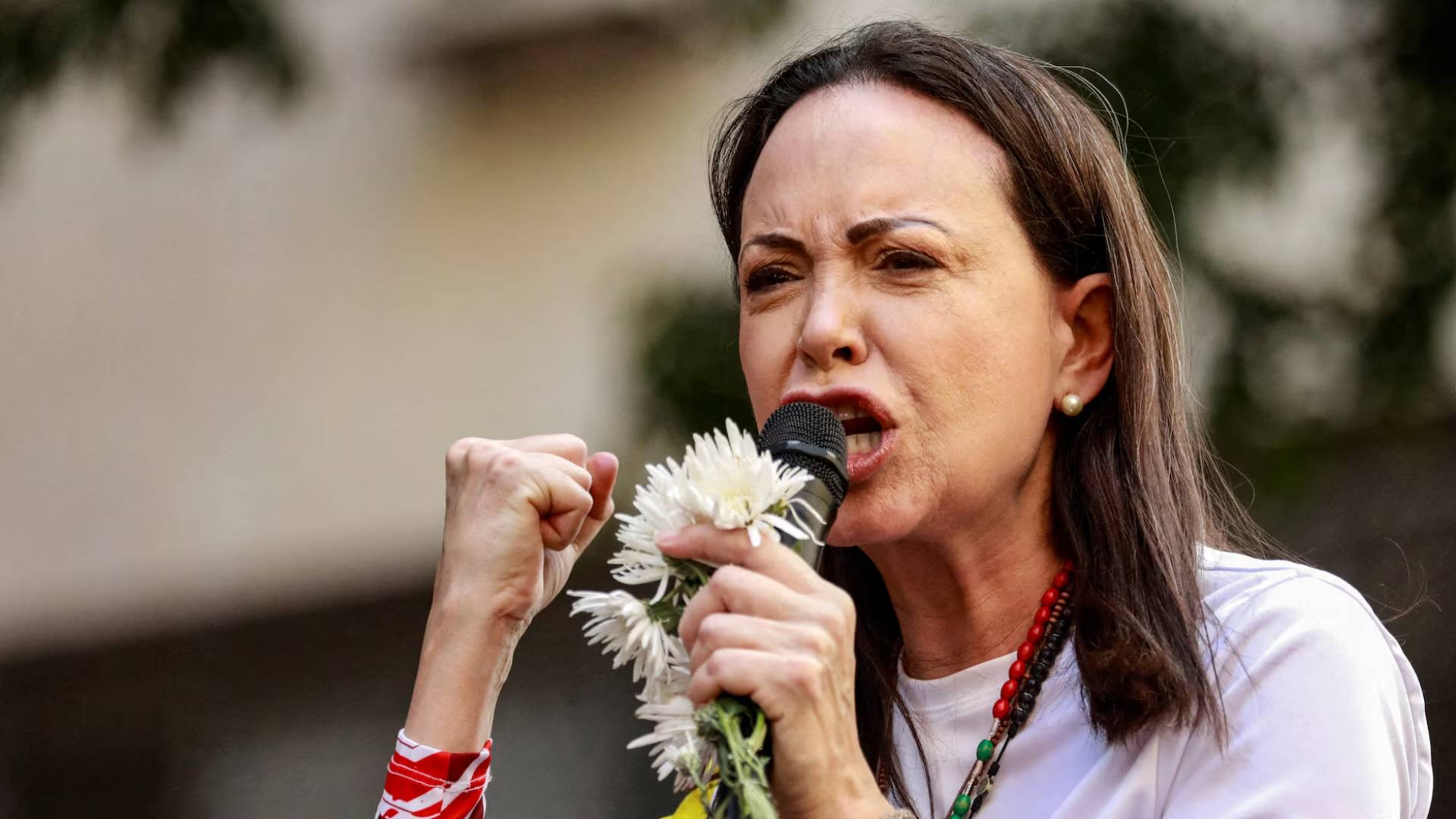 ماريا كورينا ماتشادو