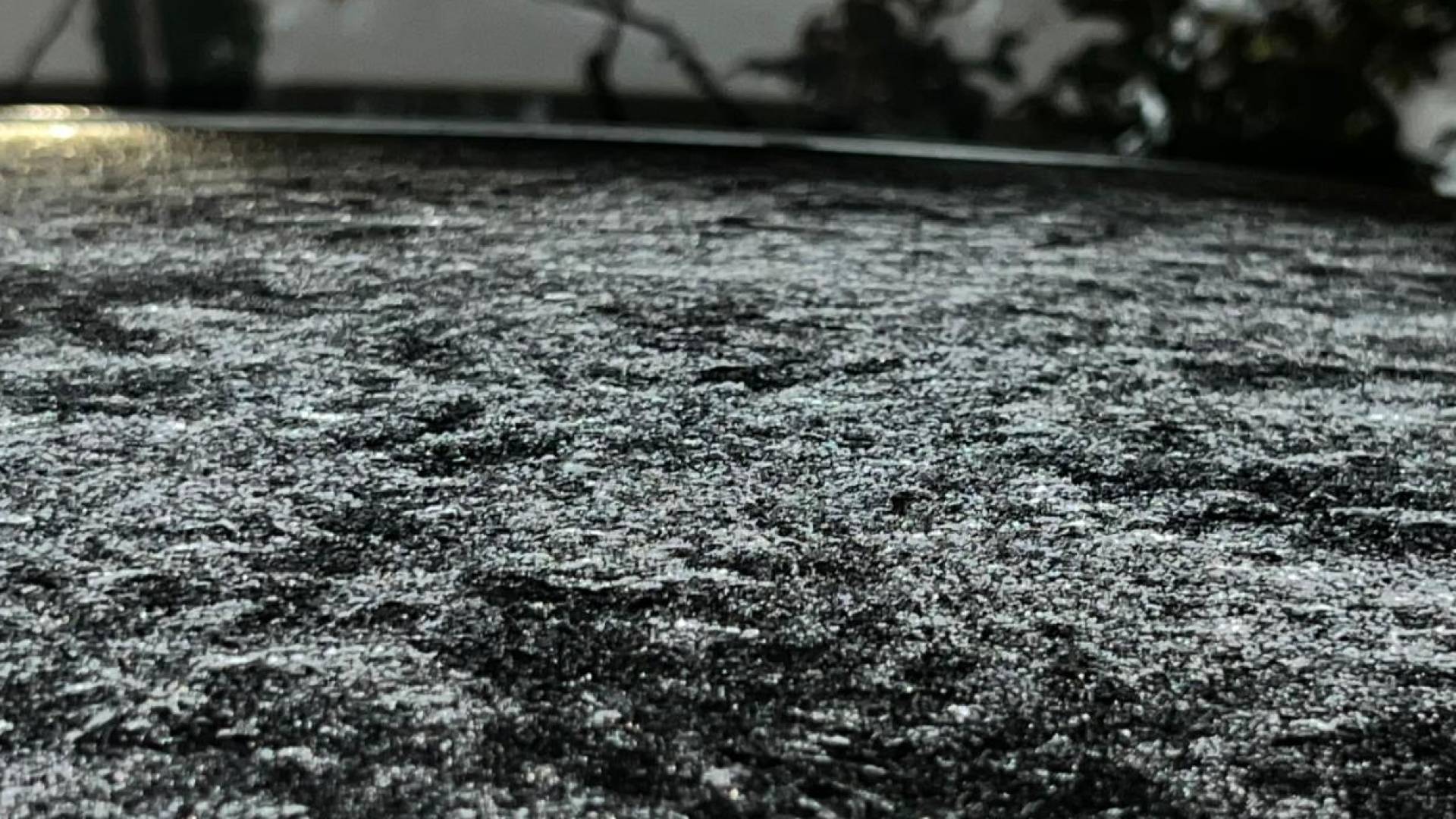 الصقيع في عجلون