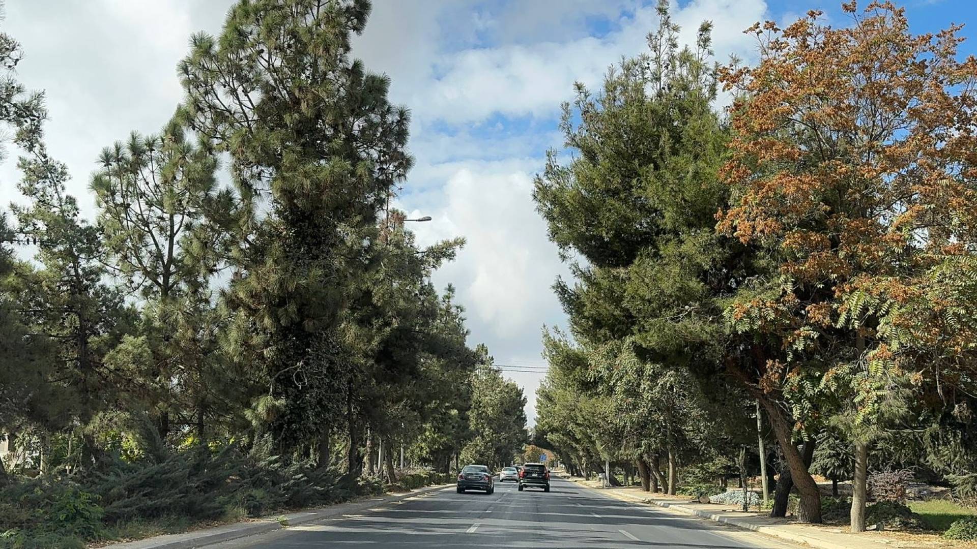 احدى شوارع العاصمة عمان