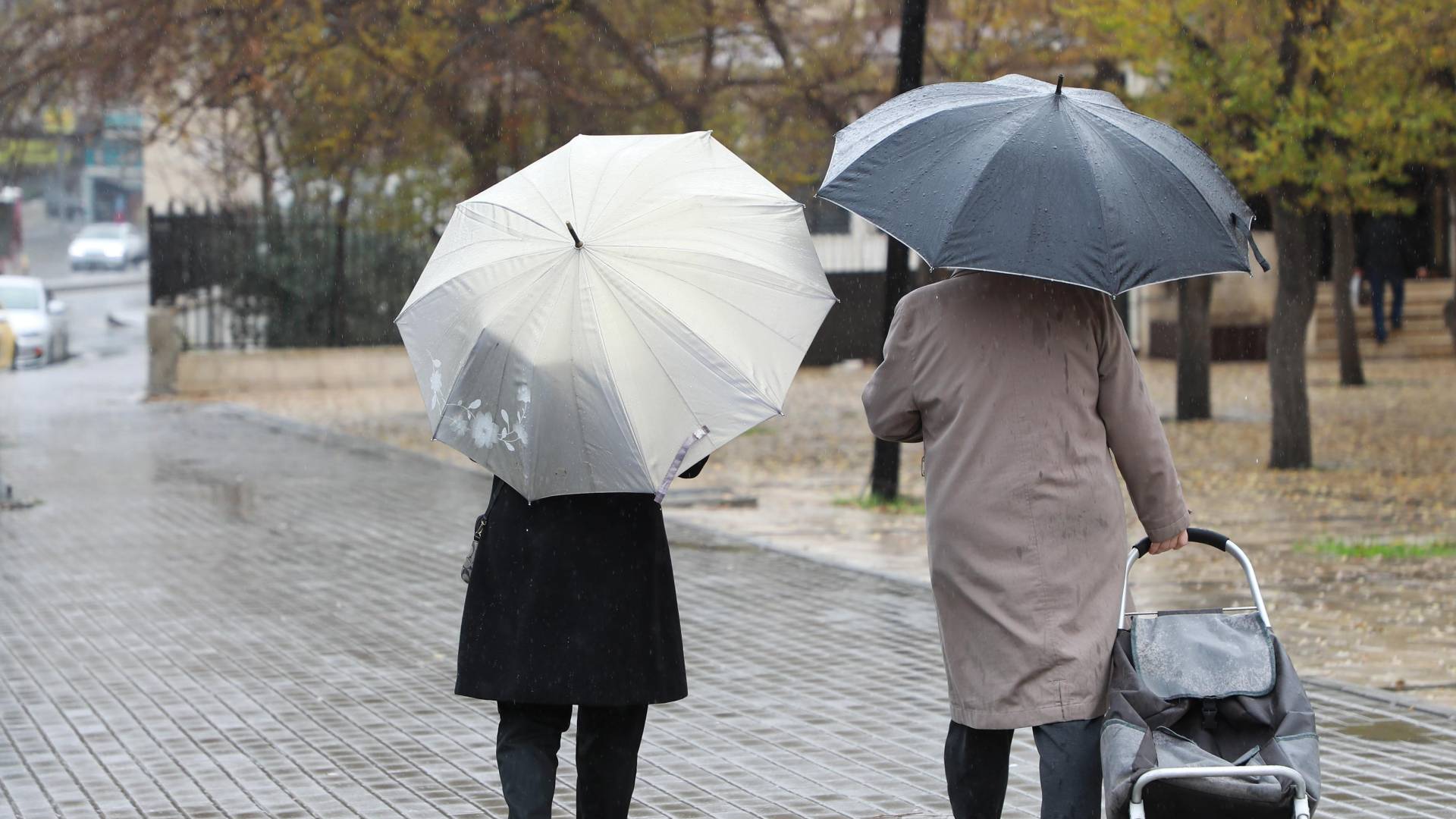 أمطار في العاصمة عمان