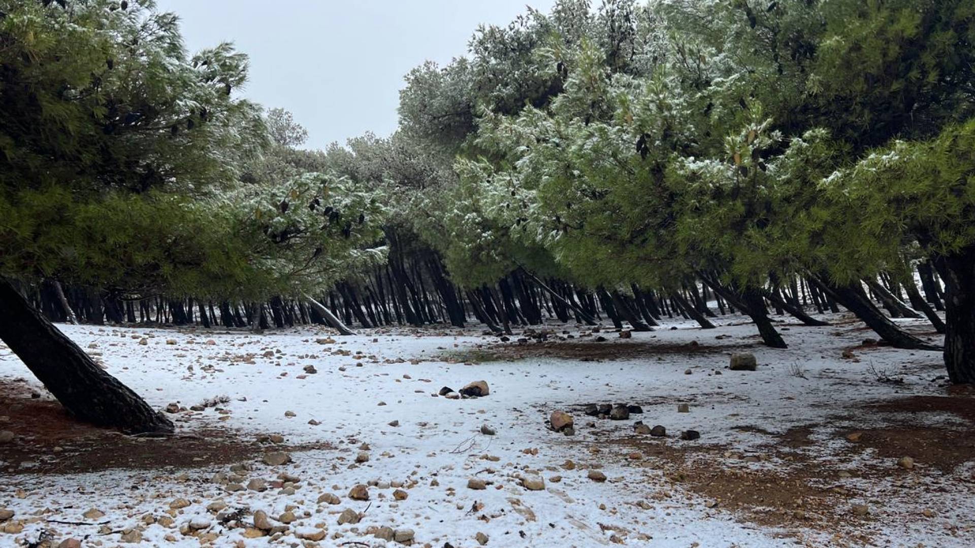 تراكم الثلوج