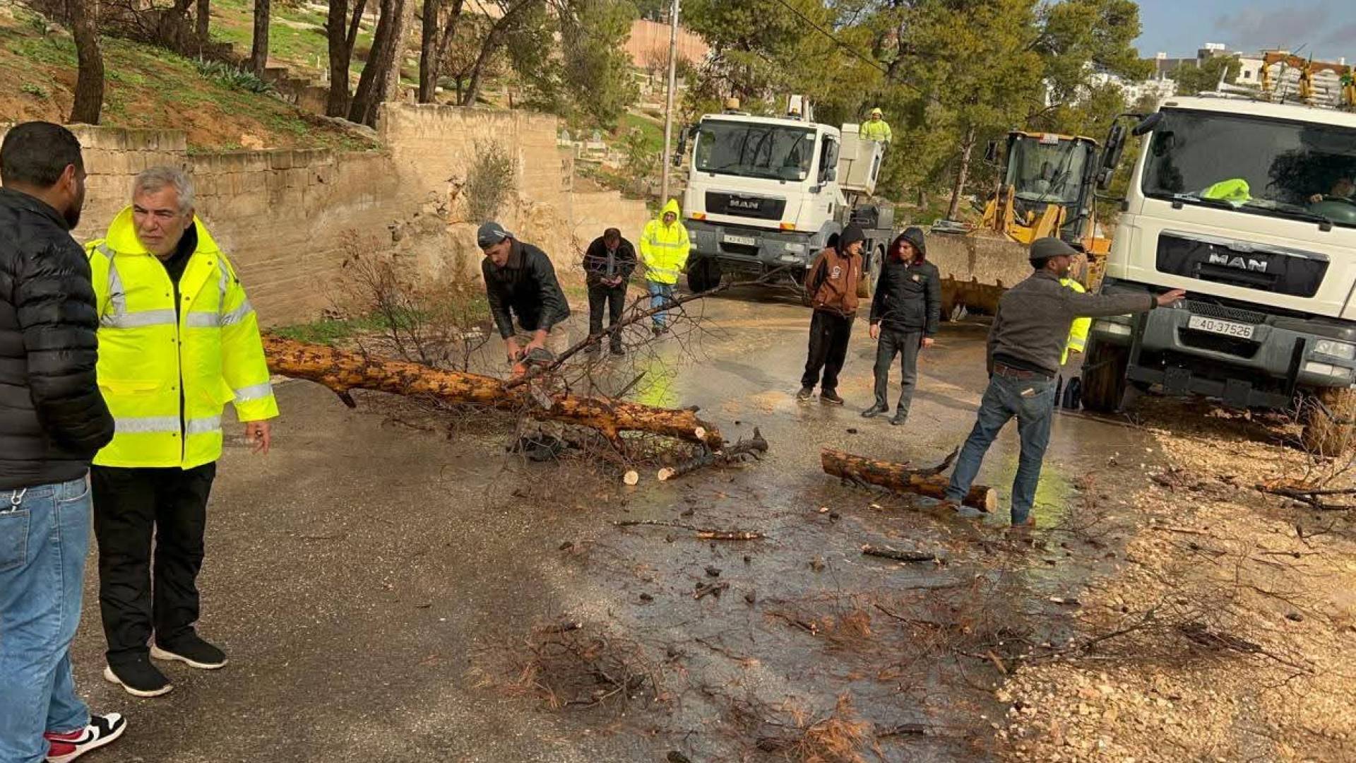 كوادر البلدية تتعامل مع سقوط شجرة
