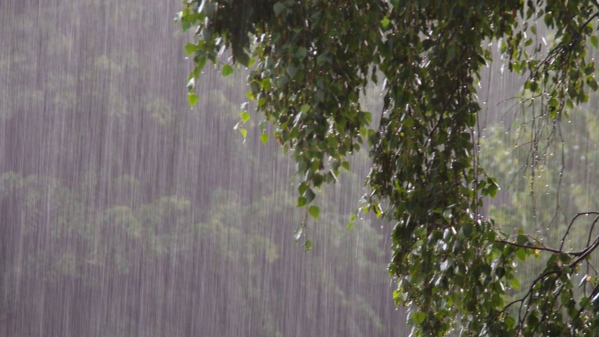 أمطار غزيرة