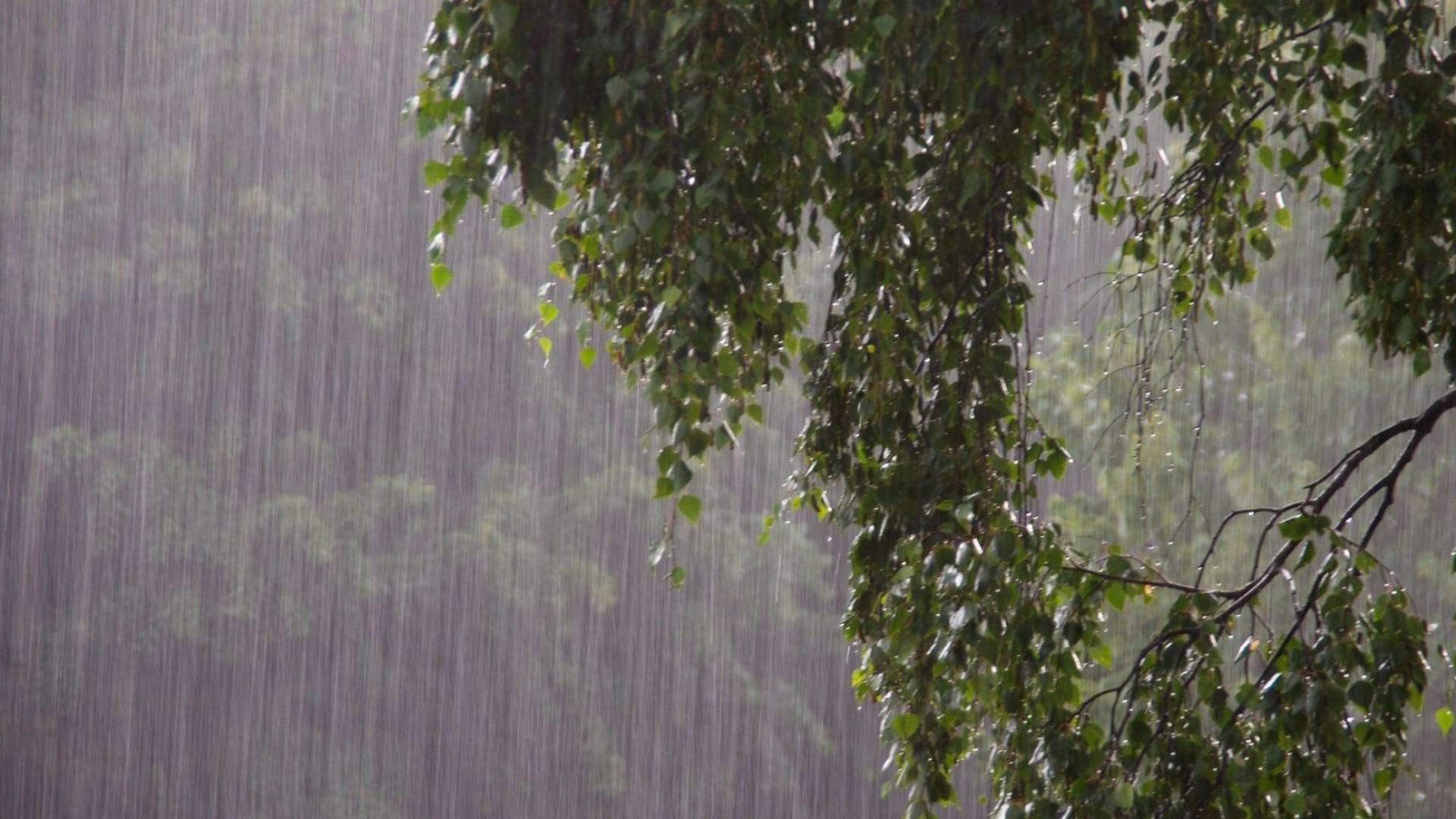 أمطار غزيرة