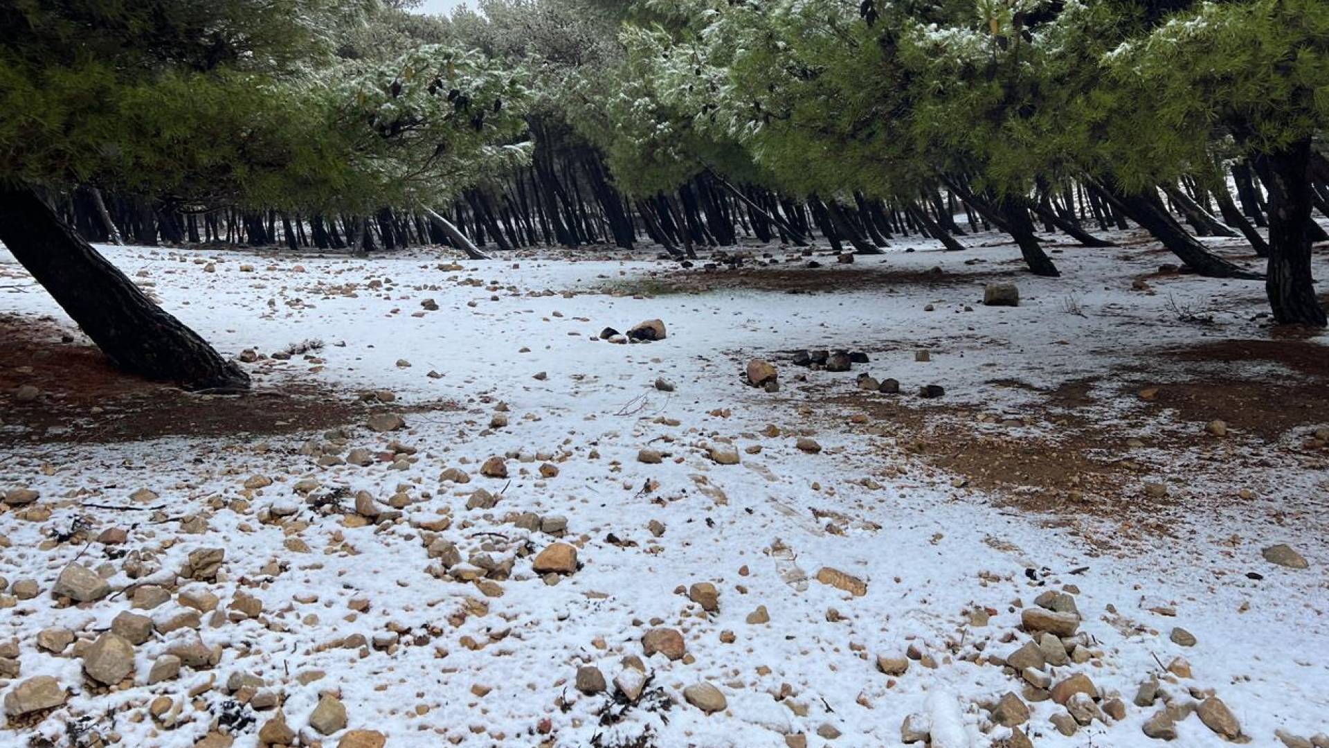 الثلوج في الاردن -ارشيفية