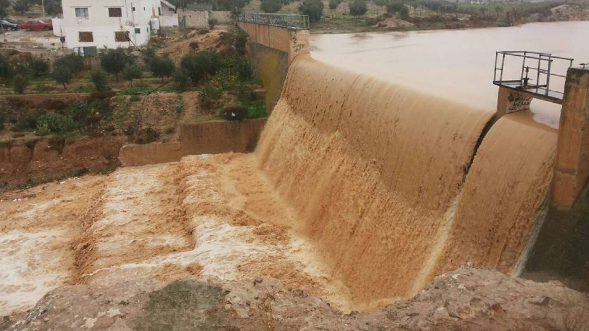 "وادي الأردن": فيضان "سد البويضة" في إربد بعد امتلائه.. ومسؤولون يتفقدون "المفيض"