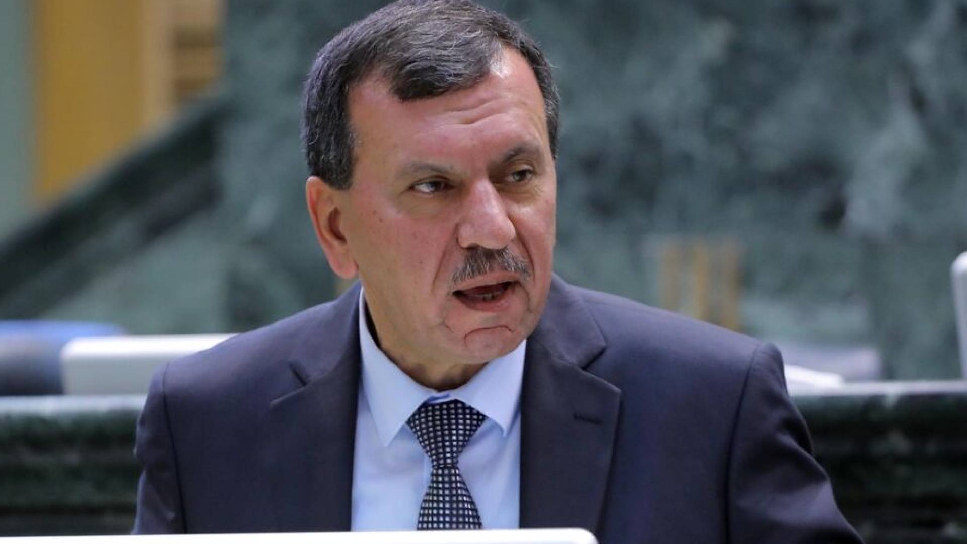 النائب هايل عياش
