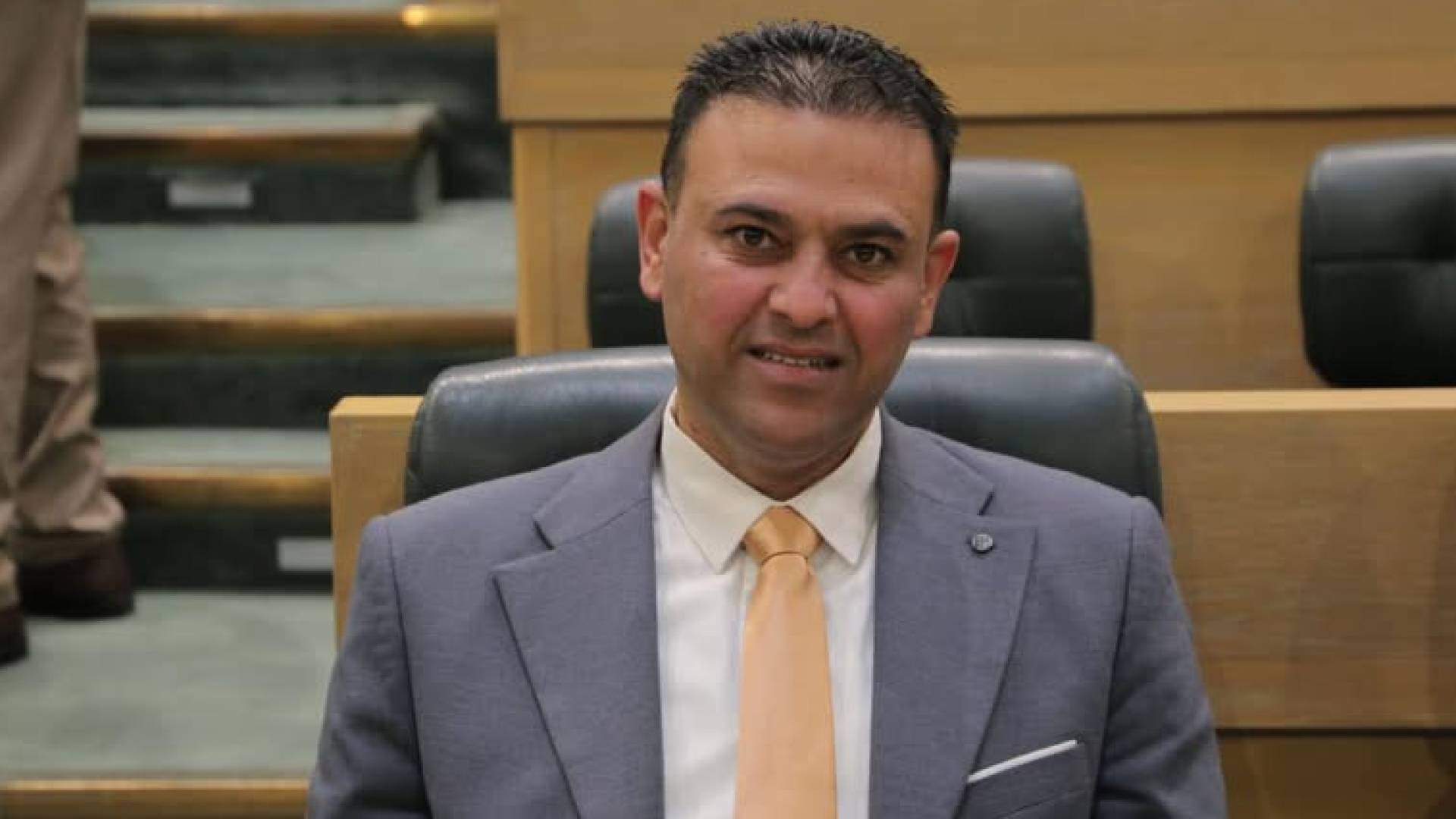 النائب الدكتور وليد المصري