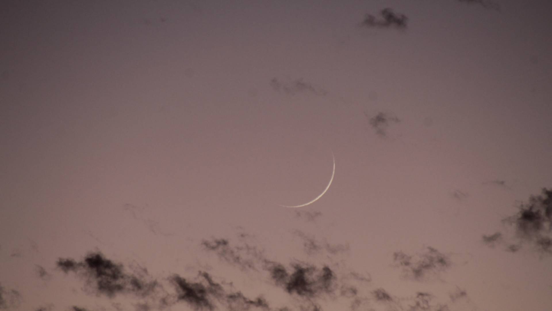 الثلاثاء 20 يناير غرة شهر شعبان 1447هـ