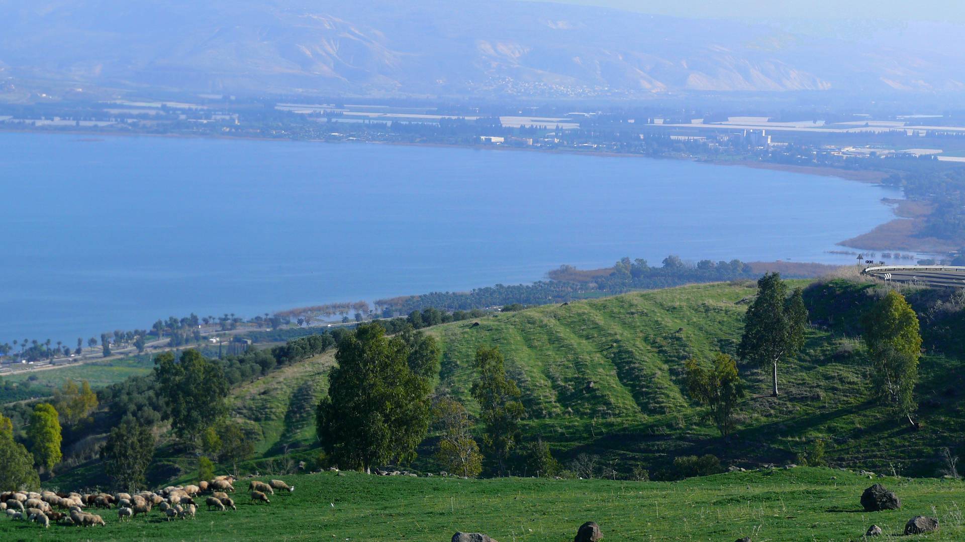 بحيرة طبريا