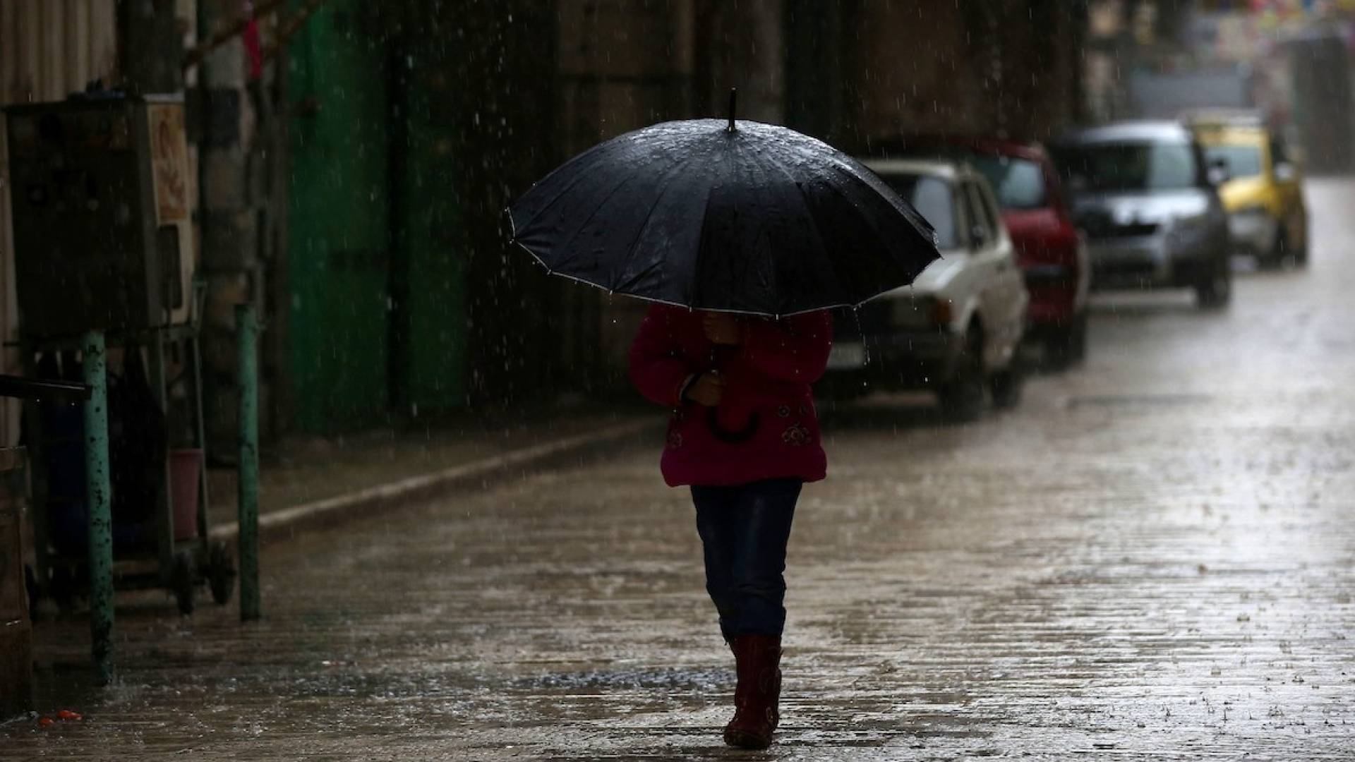 الأمطار في الاردن