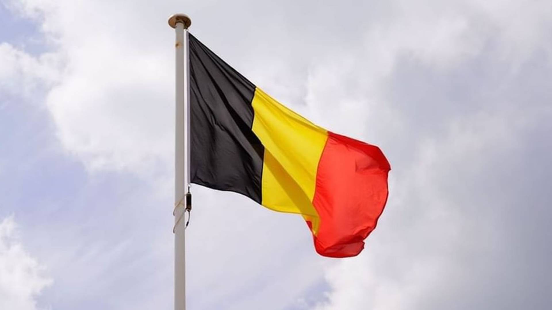 علم دولة بلجيكا
