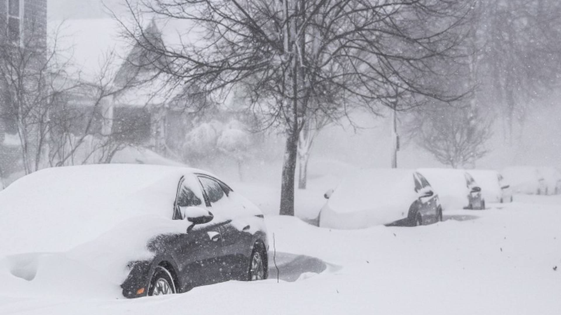 العاصفة الثلجية في أمريكا