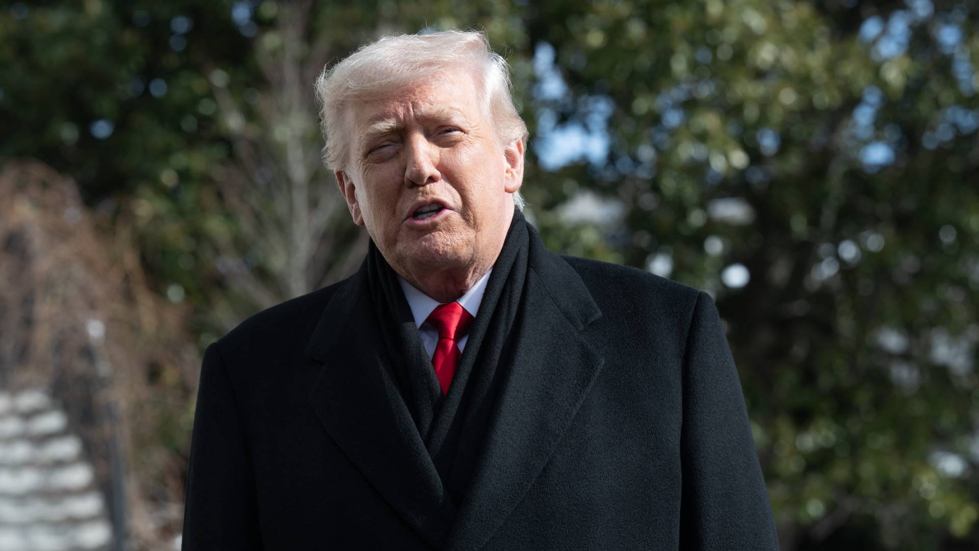 الرئيس الأمريكي  دونالد ترمب