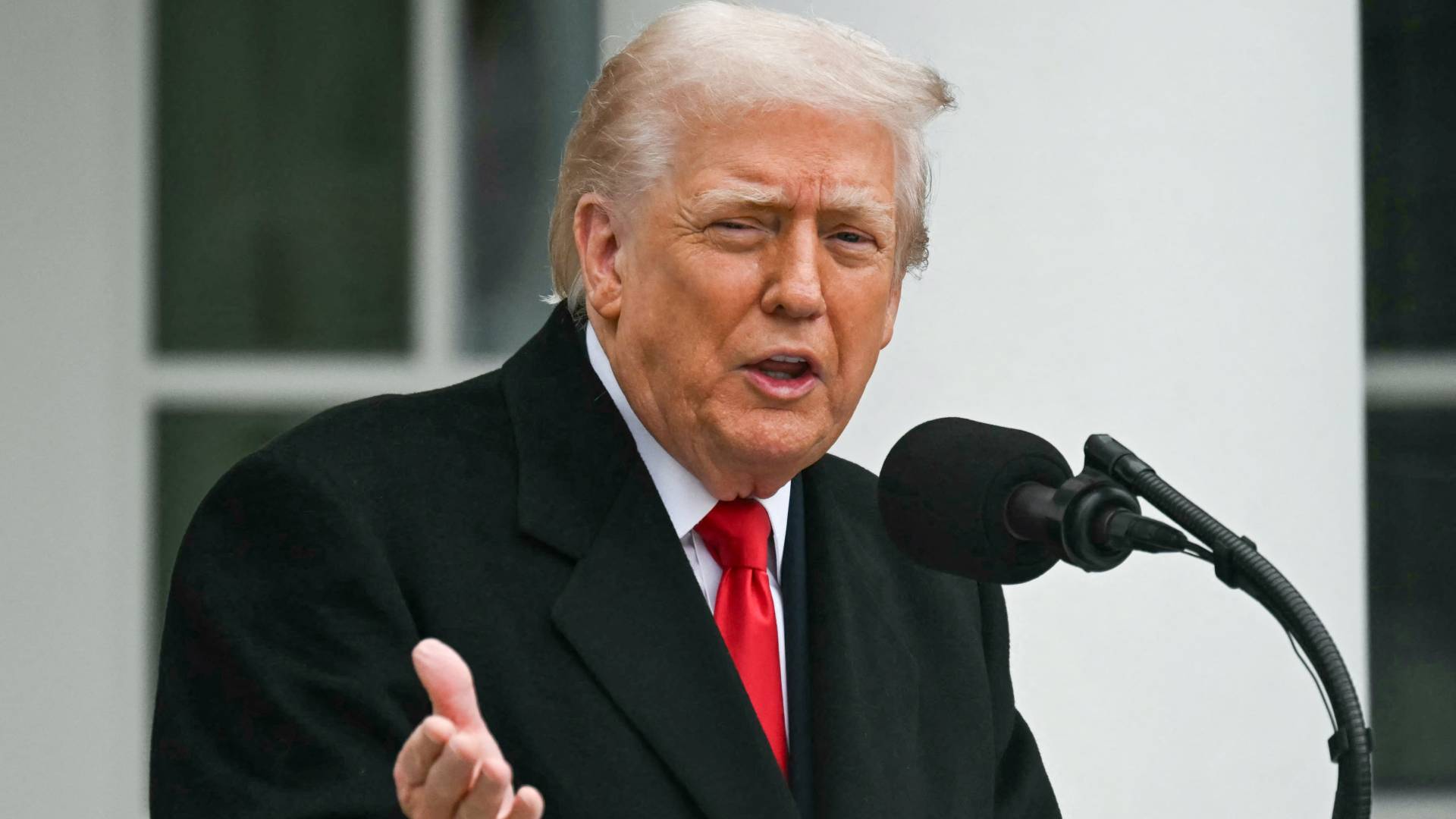 دونالد ترمب.. ارشيفية