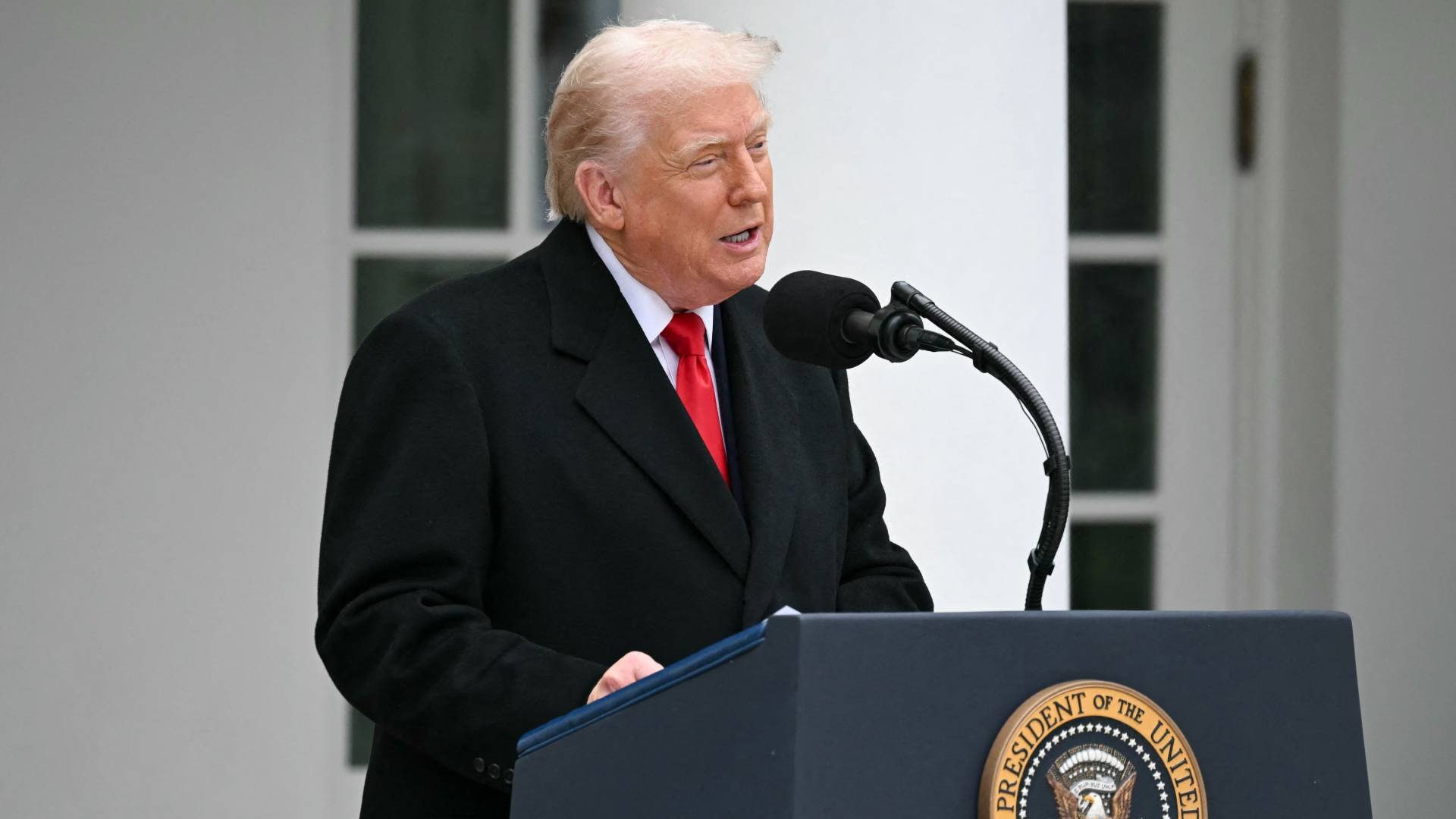 دونالد ترمب.. ارشيفية