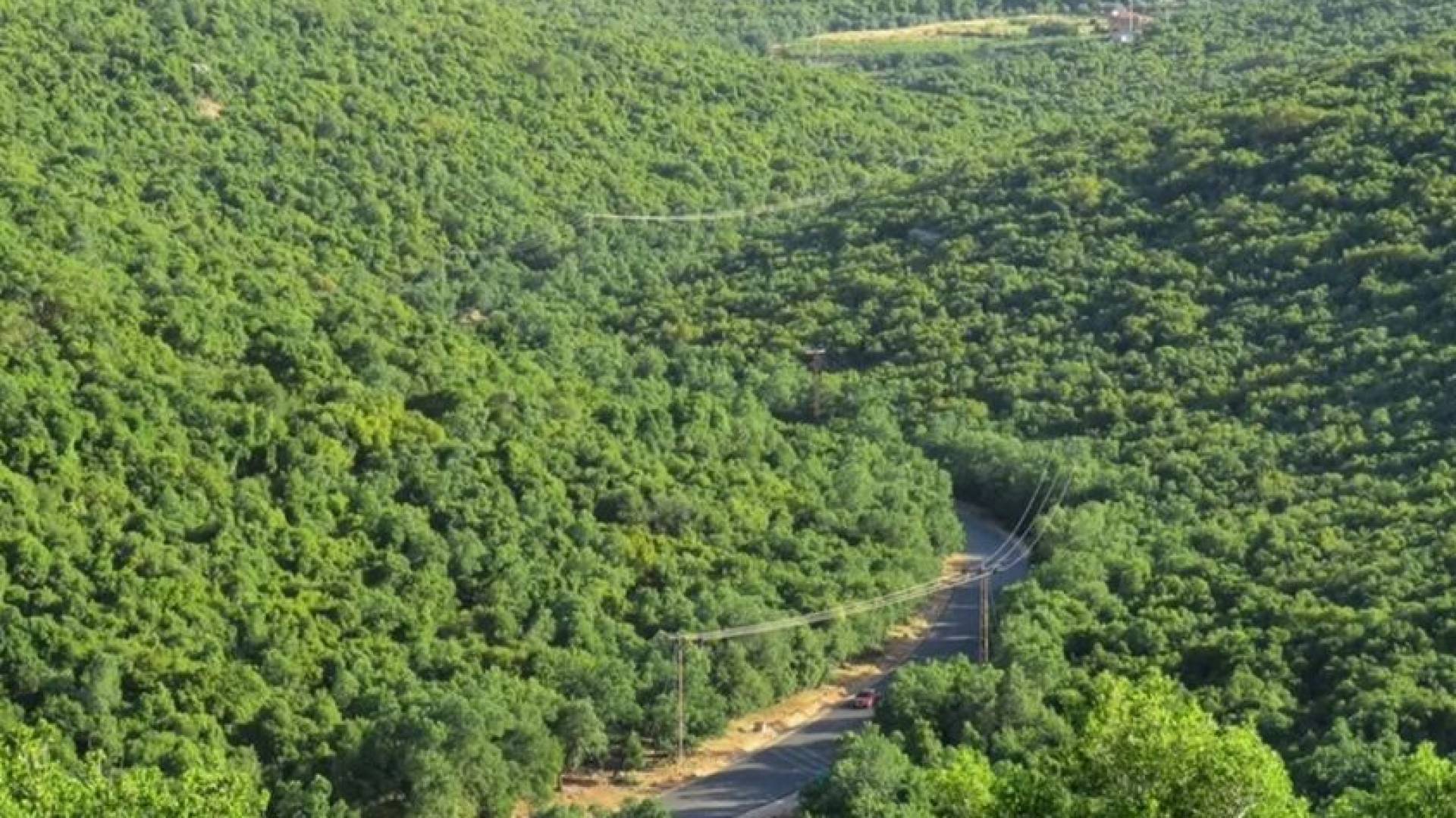 المحميات الطبيعية في الأردن