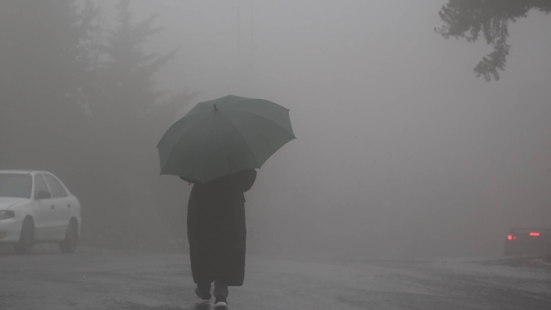 أمطار وضباب كثيف في العاصمة عمان