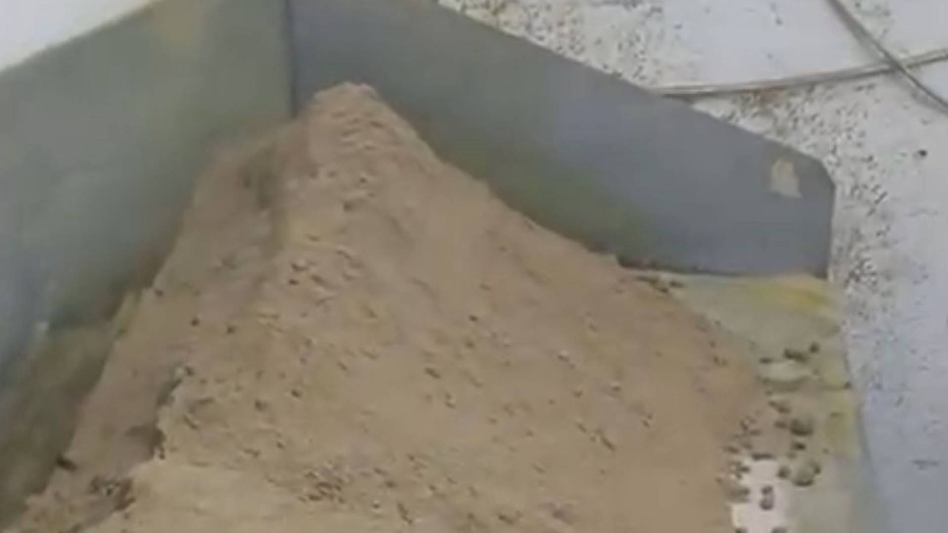 مخالفات صحية