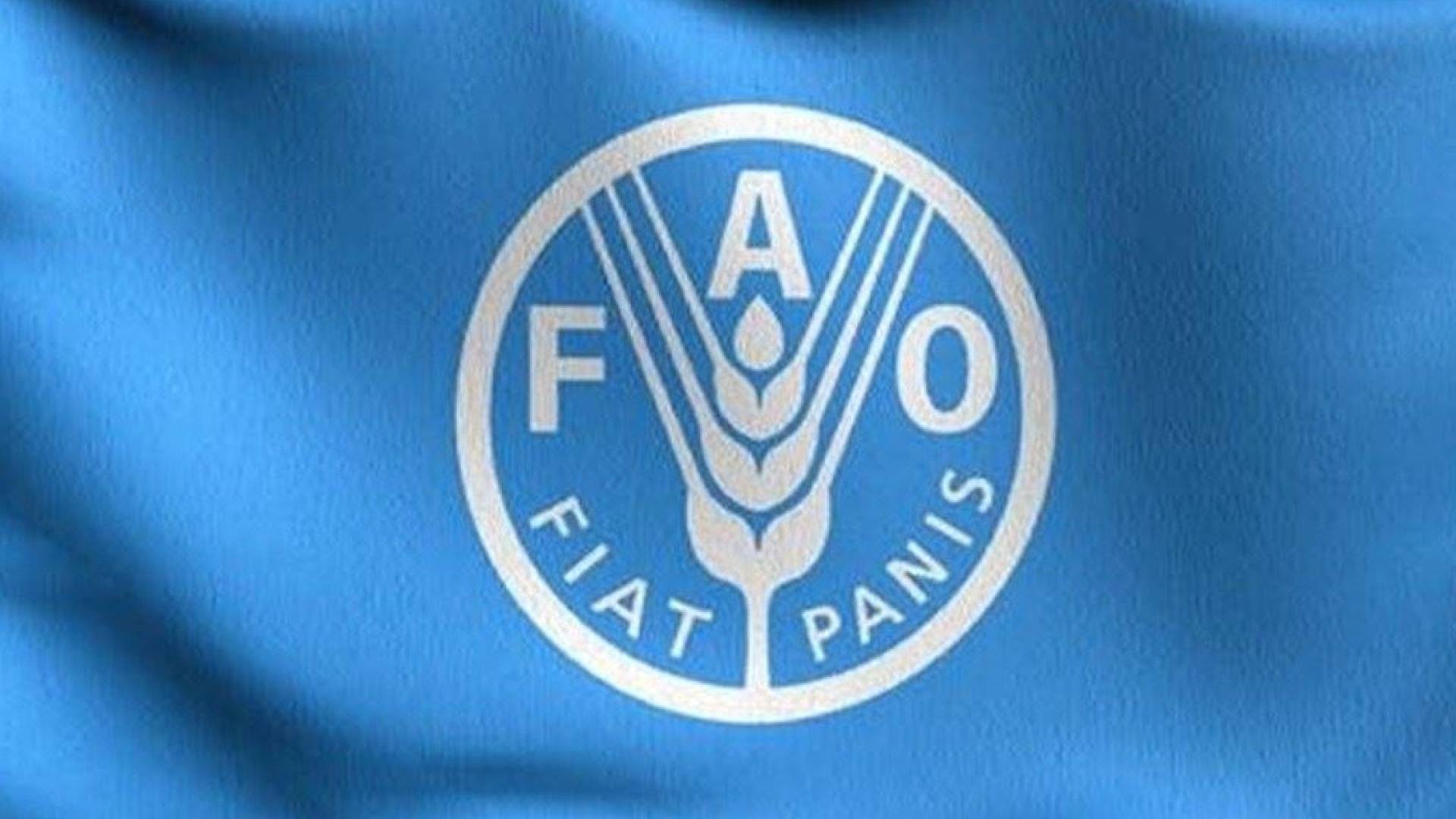 منظمة الأغذية والزراعة التابعة للأمم المتحدة (الفاو)