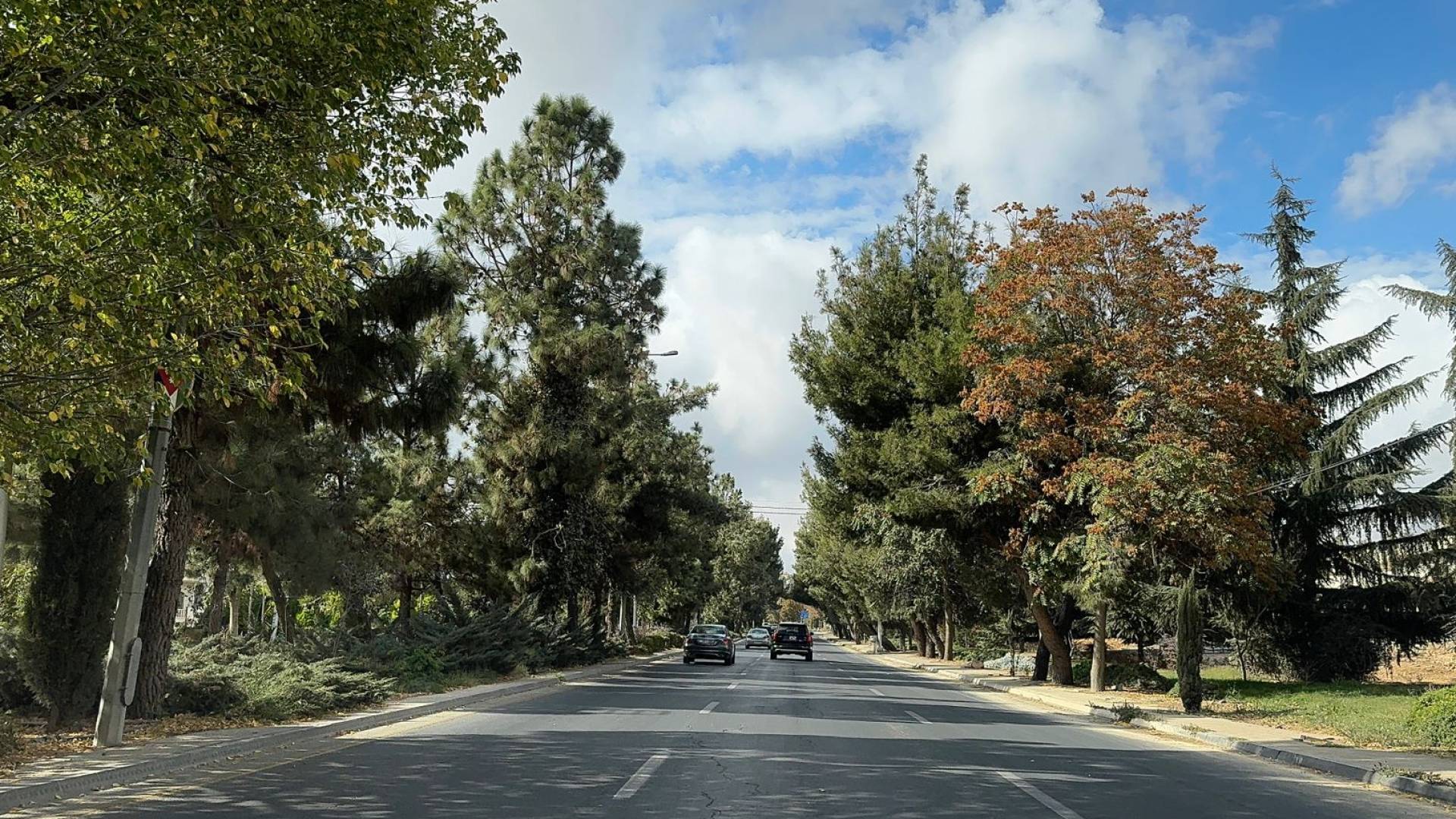 احدى شوارع العاصمة عمان