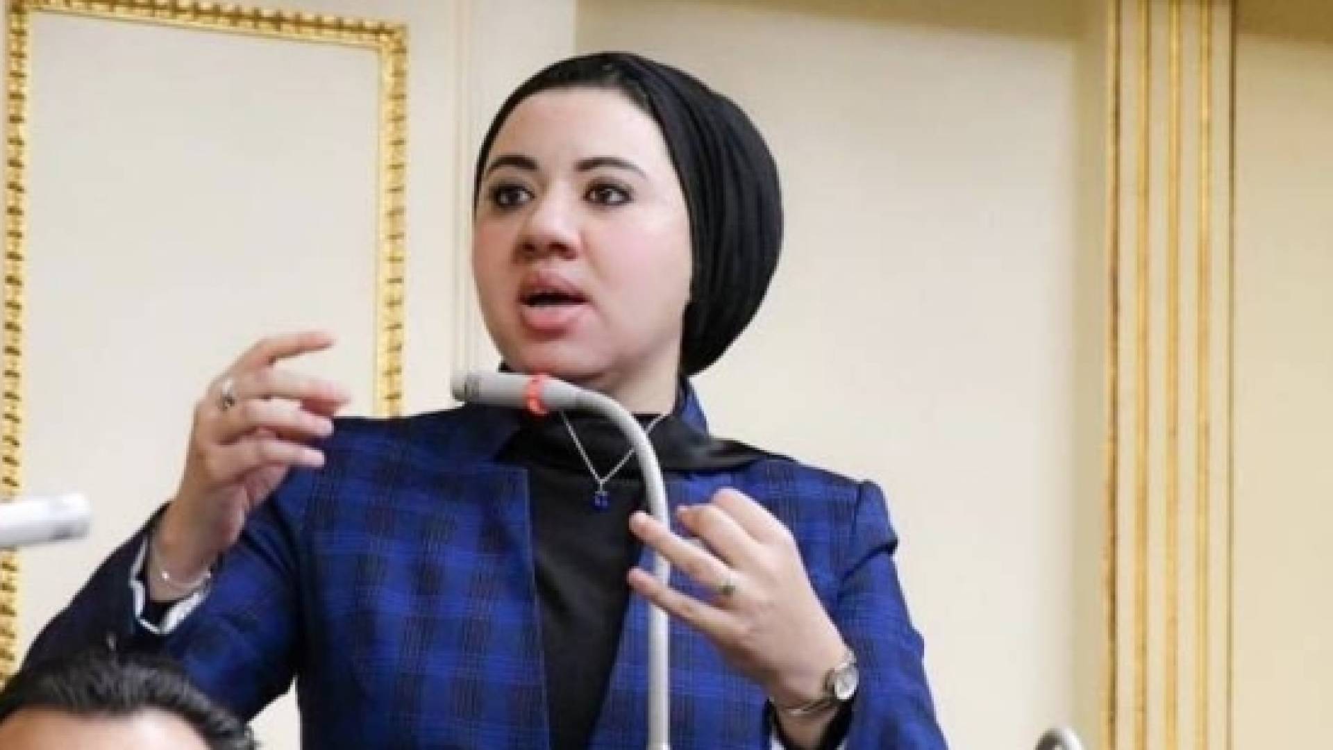النائبة مصرية اميرة صابر