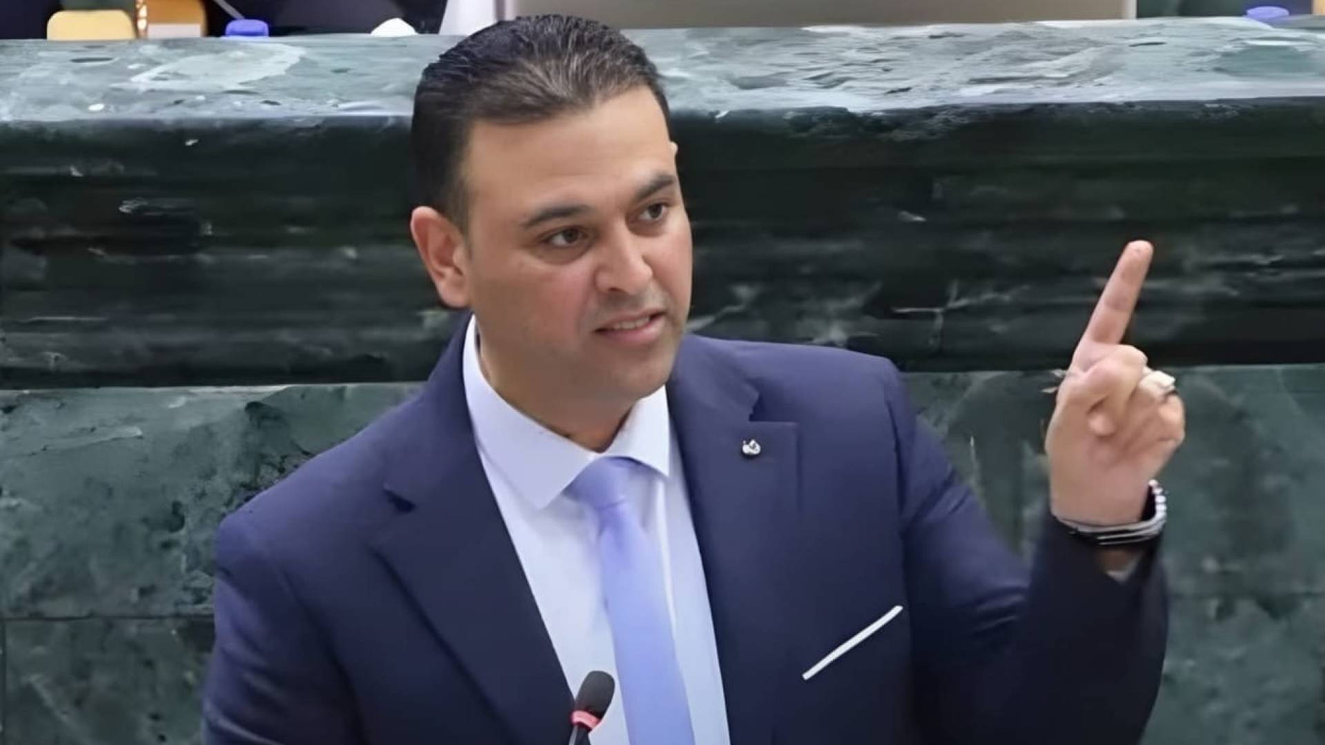 النائب وليد المصري