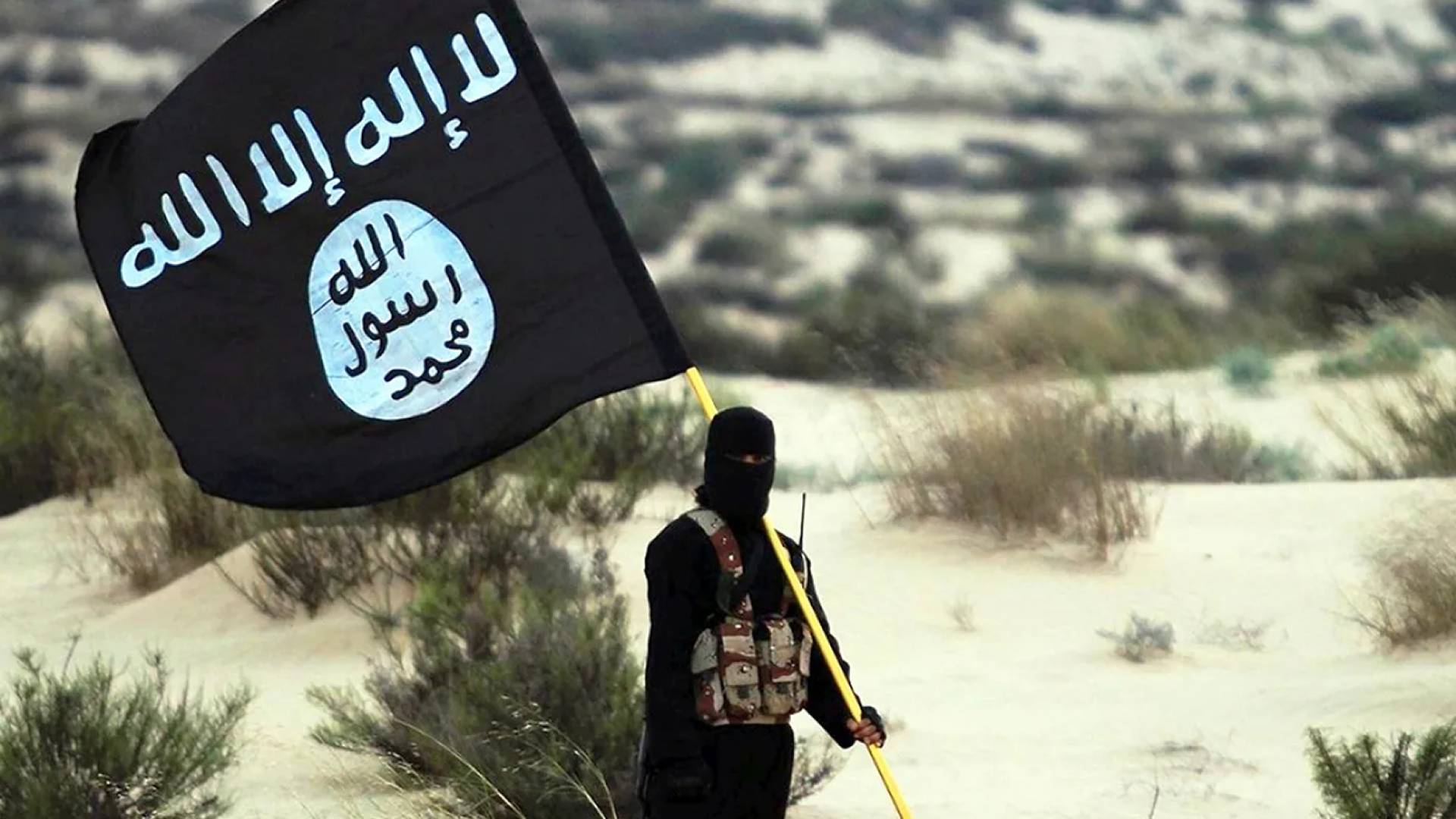 عنصر من عصابة داعش الإرهابية