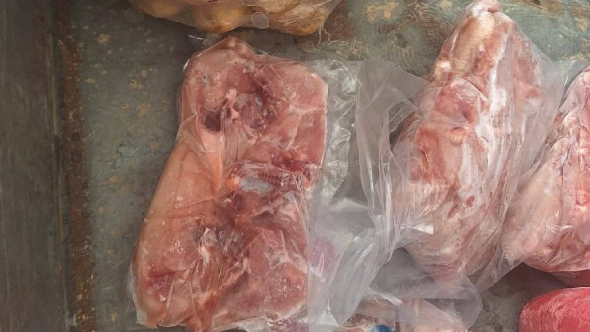 الدجاج المتلف