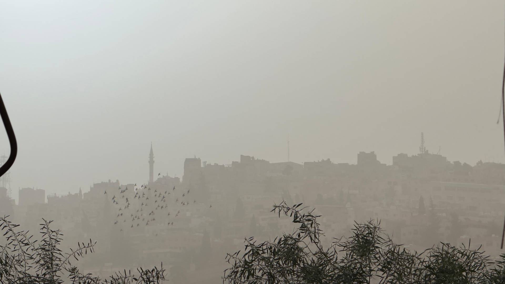 موجة غبارية تؤثر غلى الأردن