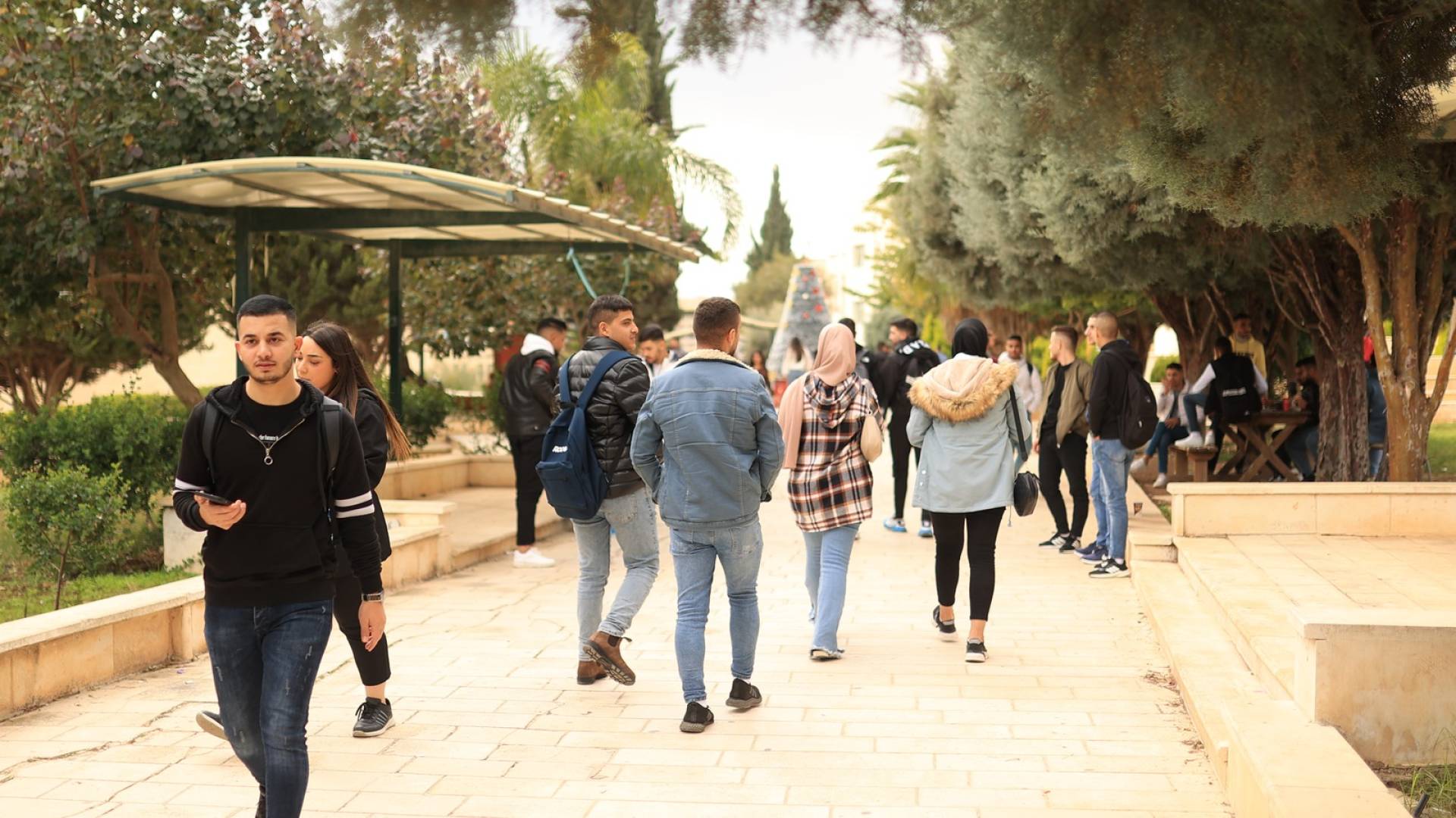 طلبة جامعات