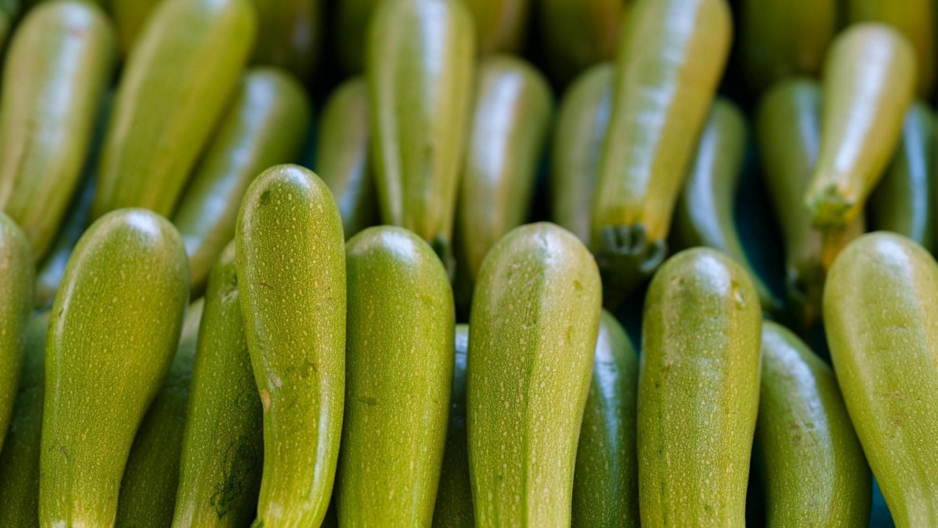 خضار الكوسا