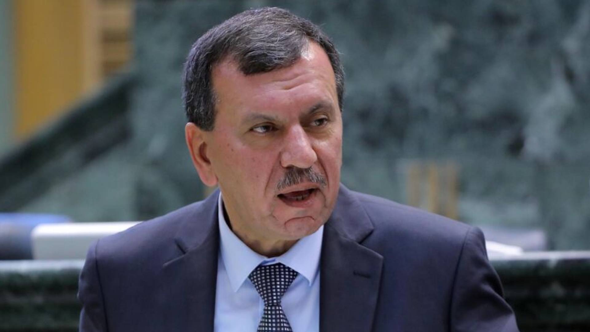 النائب هايل عياش