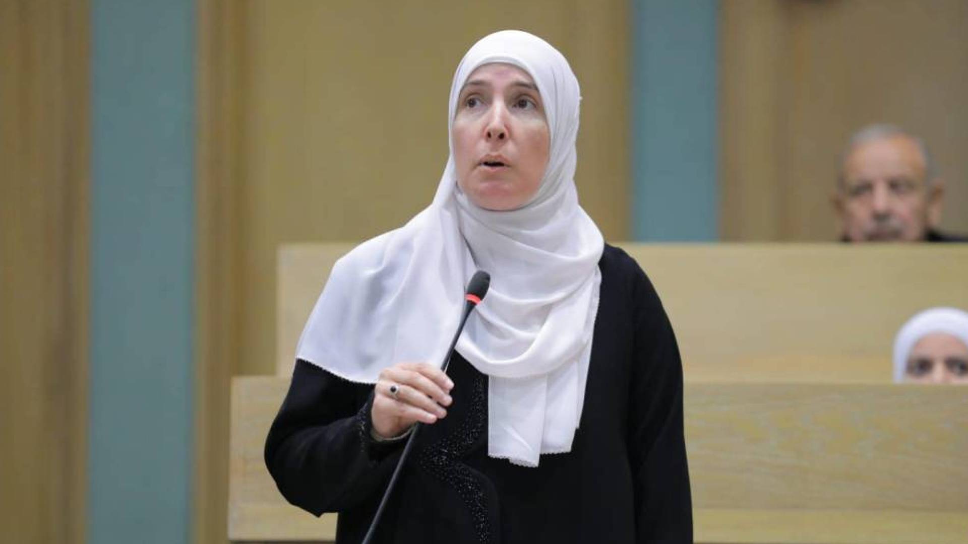 النائب المهندسة راكين أبو هنية