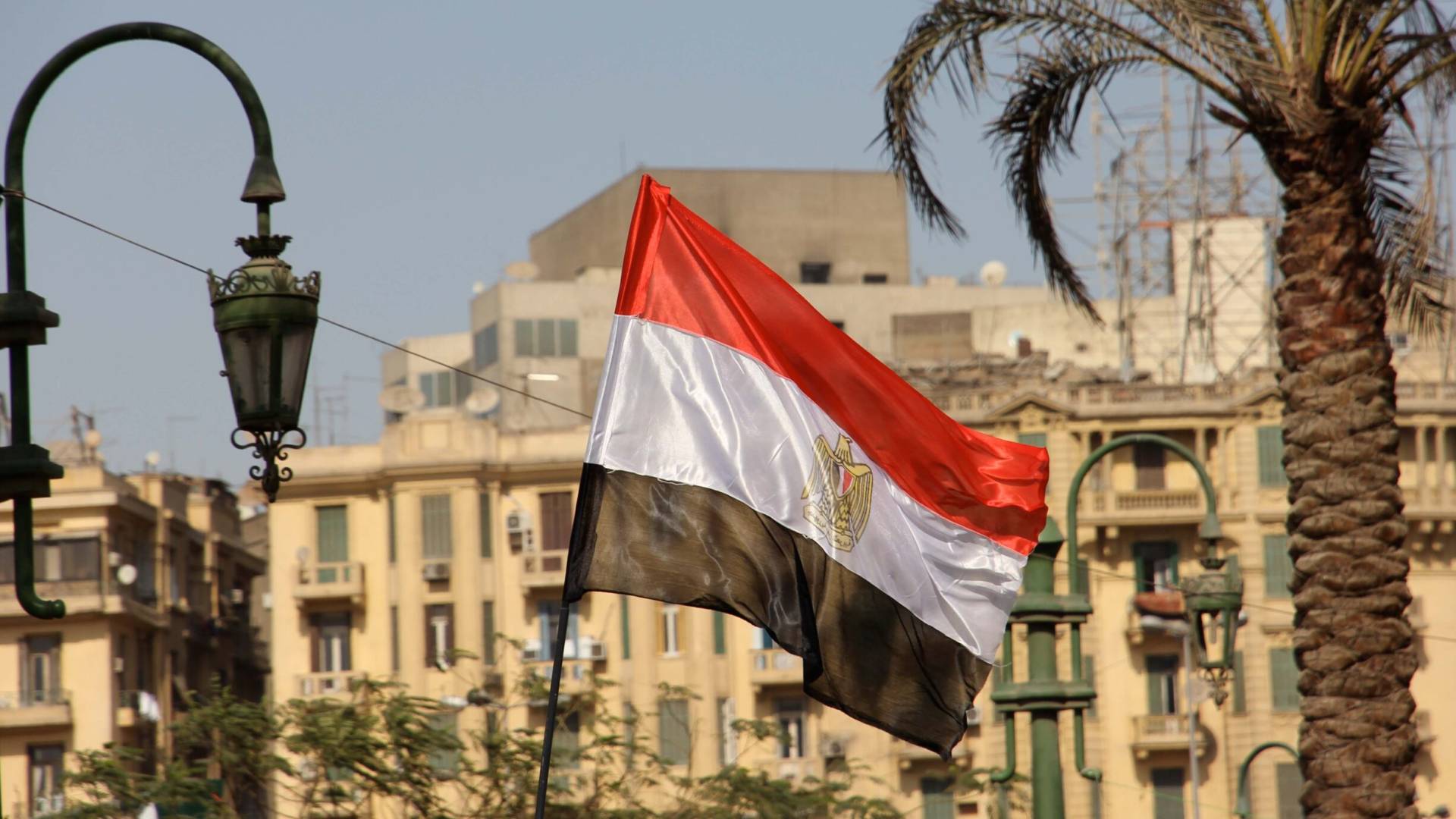 العلم المصري
