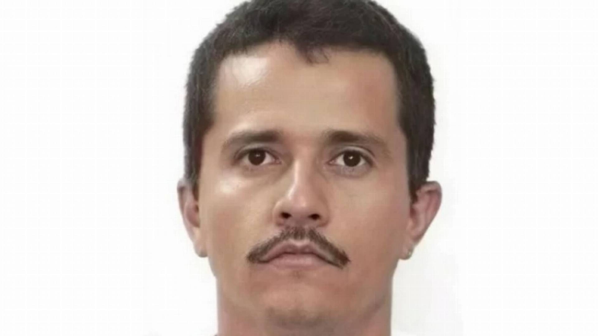 نيميسيو أوسيجويرا سيرفانتس